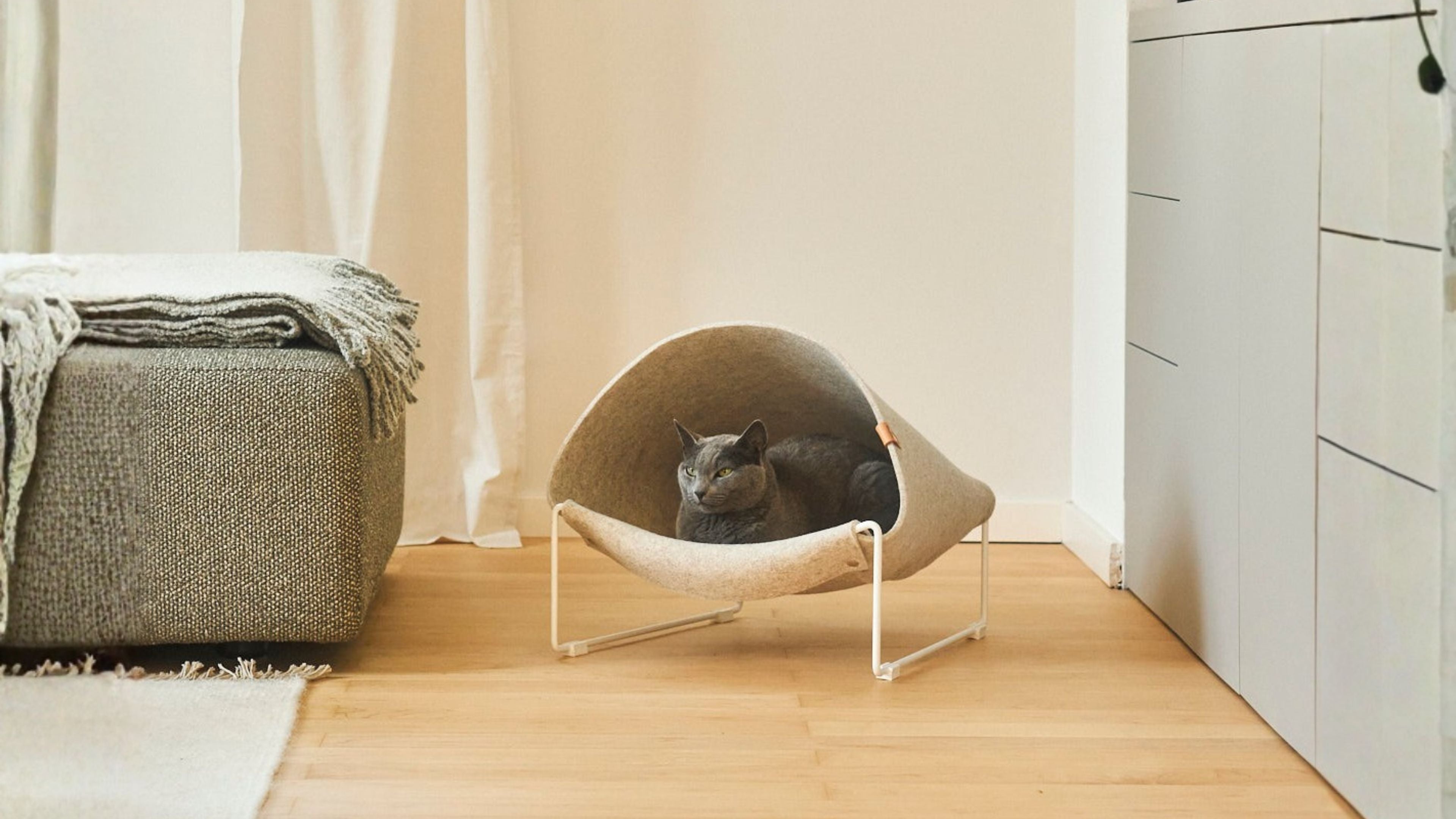 THOUGHTFUL COMFORT: CHOOSING SUSTAINABLE BED FOR YOUR PET