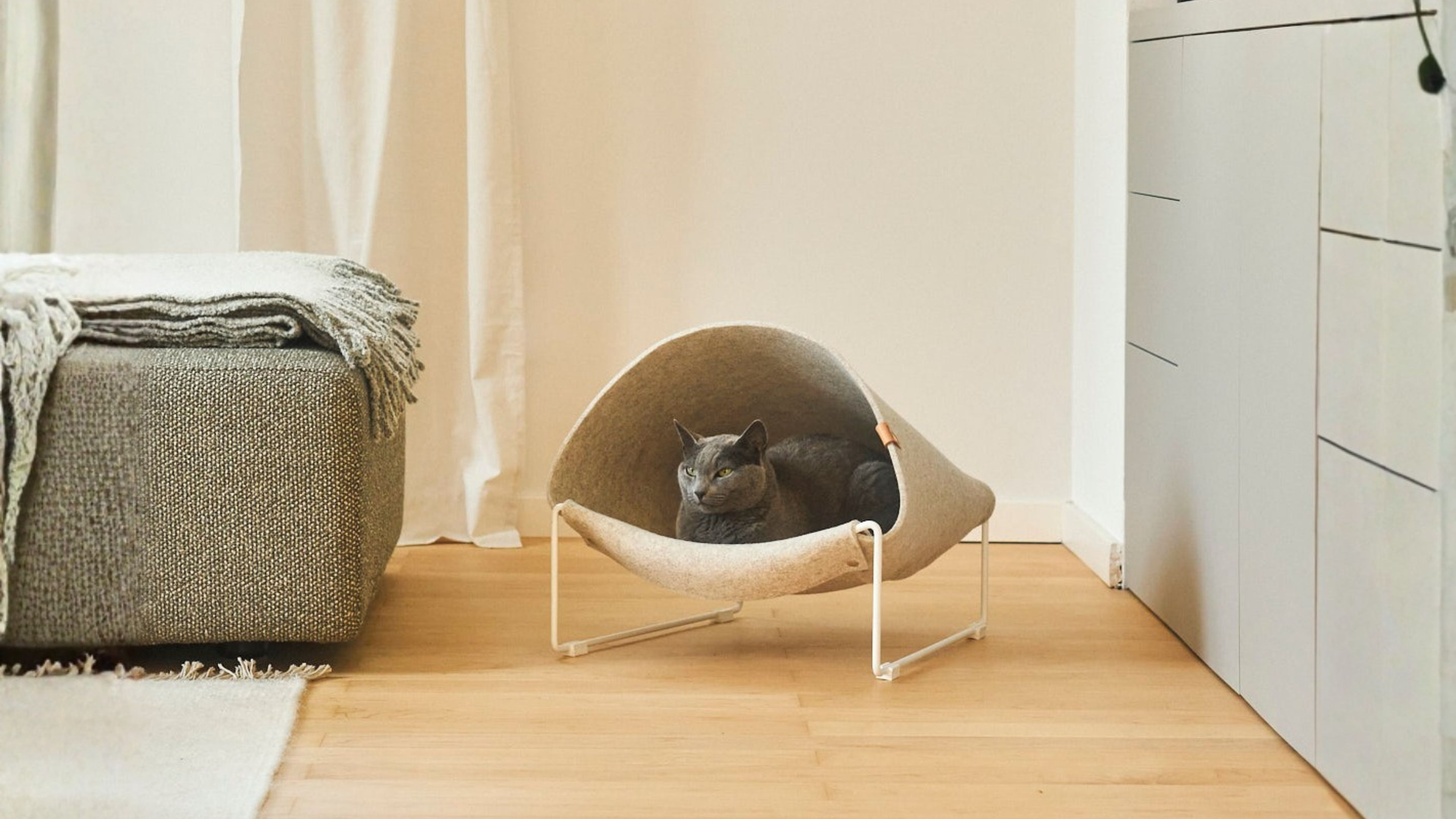 PET ACCESSORIES THAT ACTUALLY BELONG IN YOUR HOME
