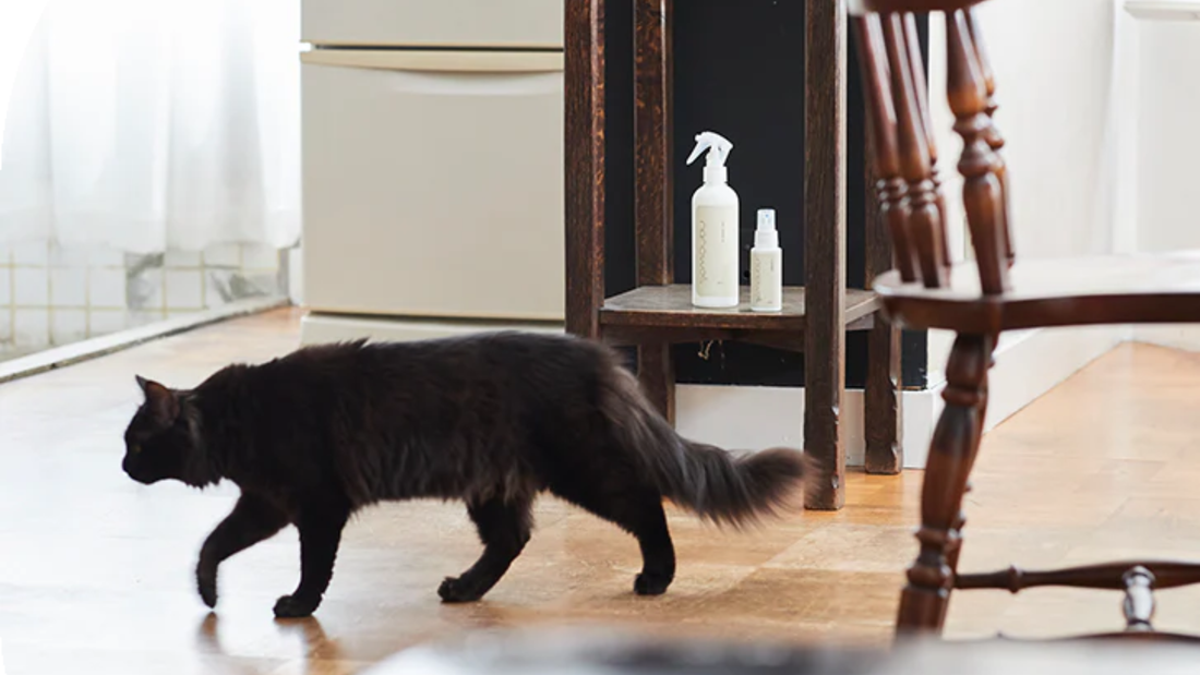 WHY JAPANESE PET CARE IS DIFFERENT: WHAT MALAYSIA'S PET OWNERS ARE STARTING TO NOTICE