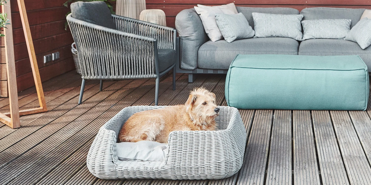 For Dogs