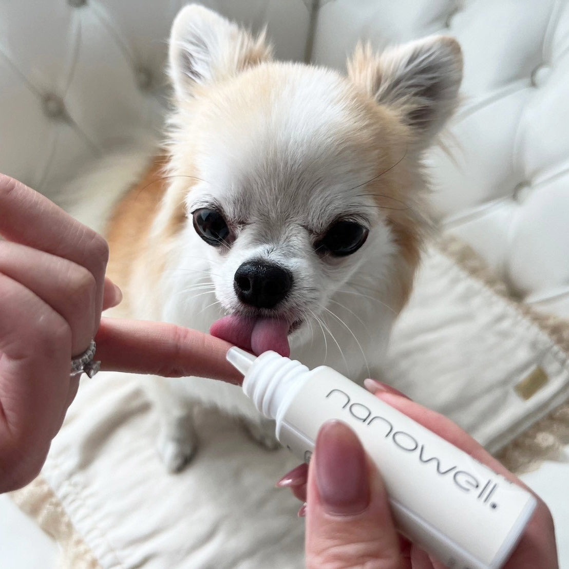 Oral Care Gel for Dogs