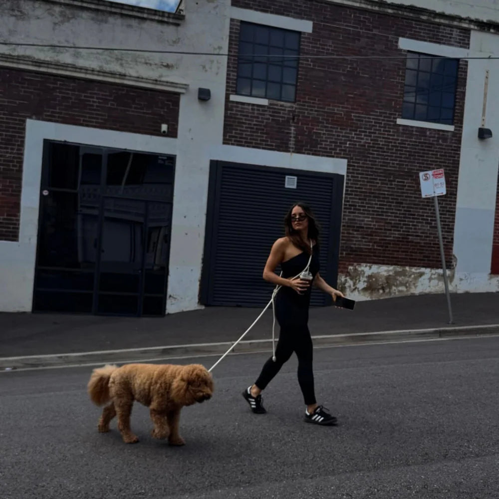 Hands Free Leash