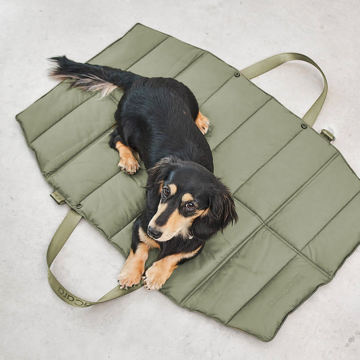 Foldable Travel Bed