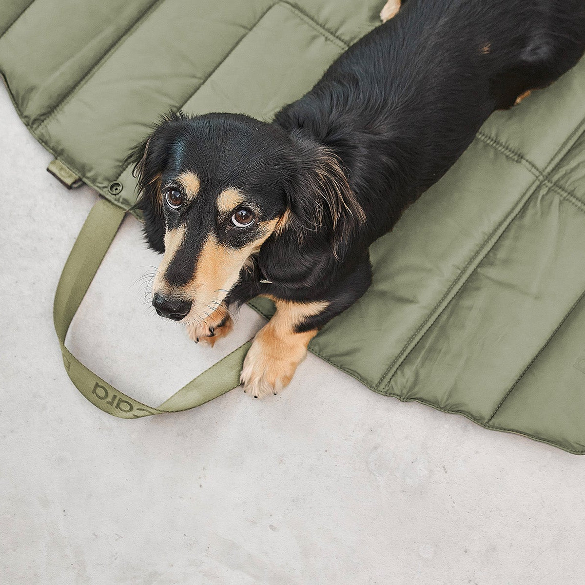 Foldable Travel Bed