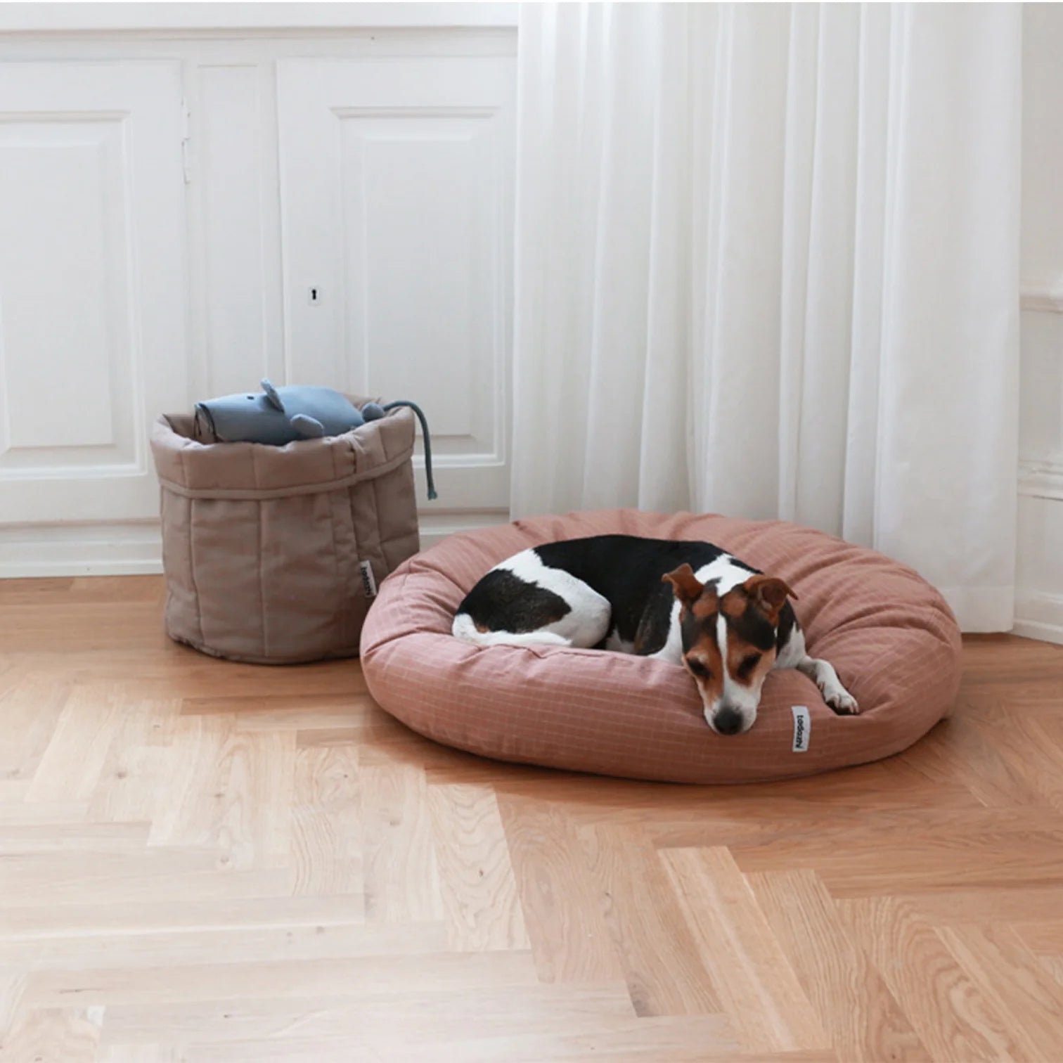 Scandanavian style pet storage basket from Tadazhi show in a minimalist room with dog