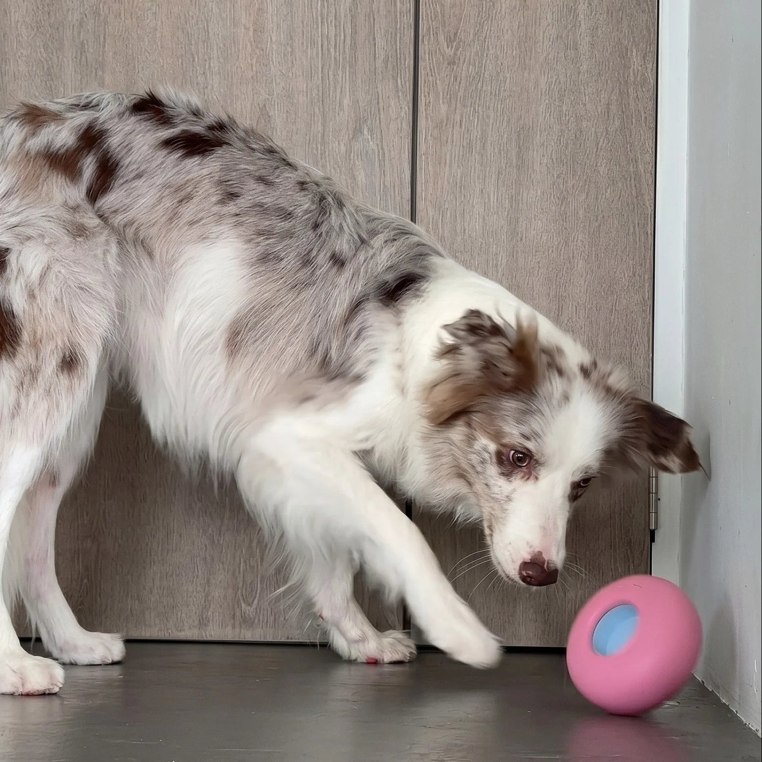 Pebble Puzzle Toy