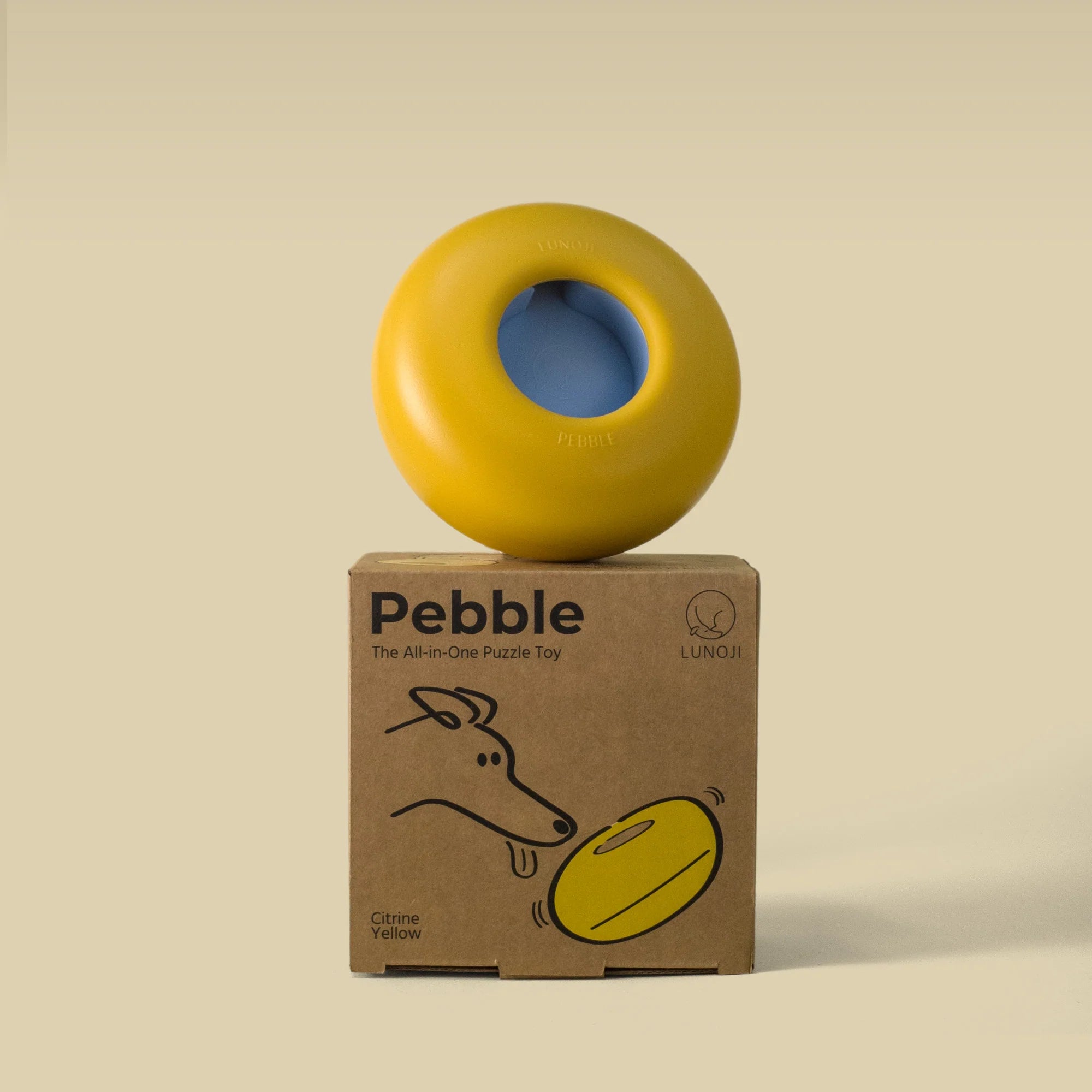 Pebble Puzzle Toy