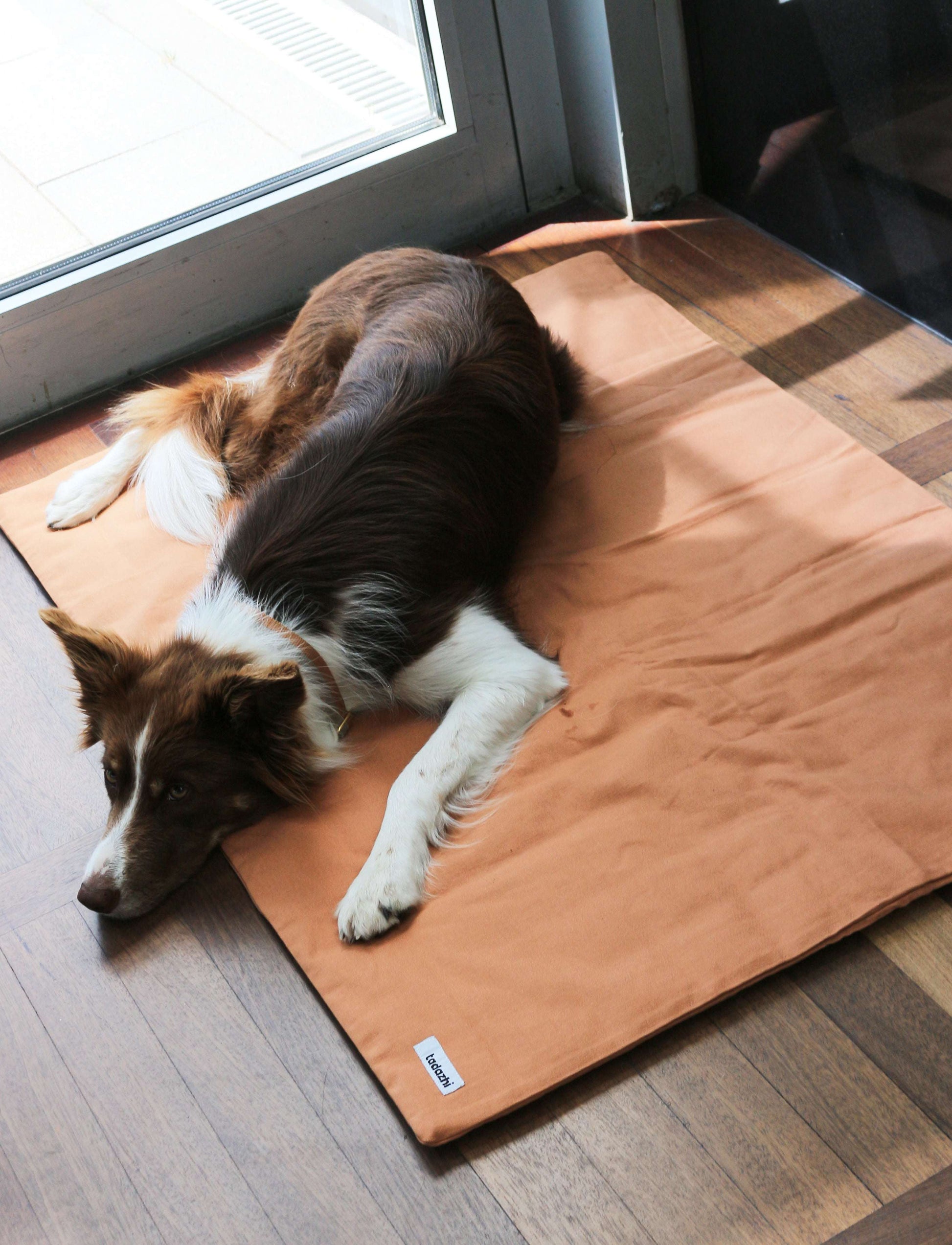 Dog resting comfortably on Tadazhi duvet pet blanket in light brown organic cotton.