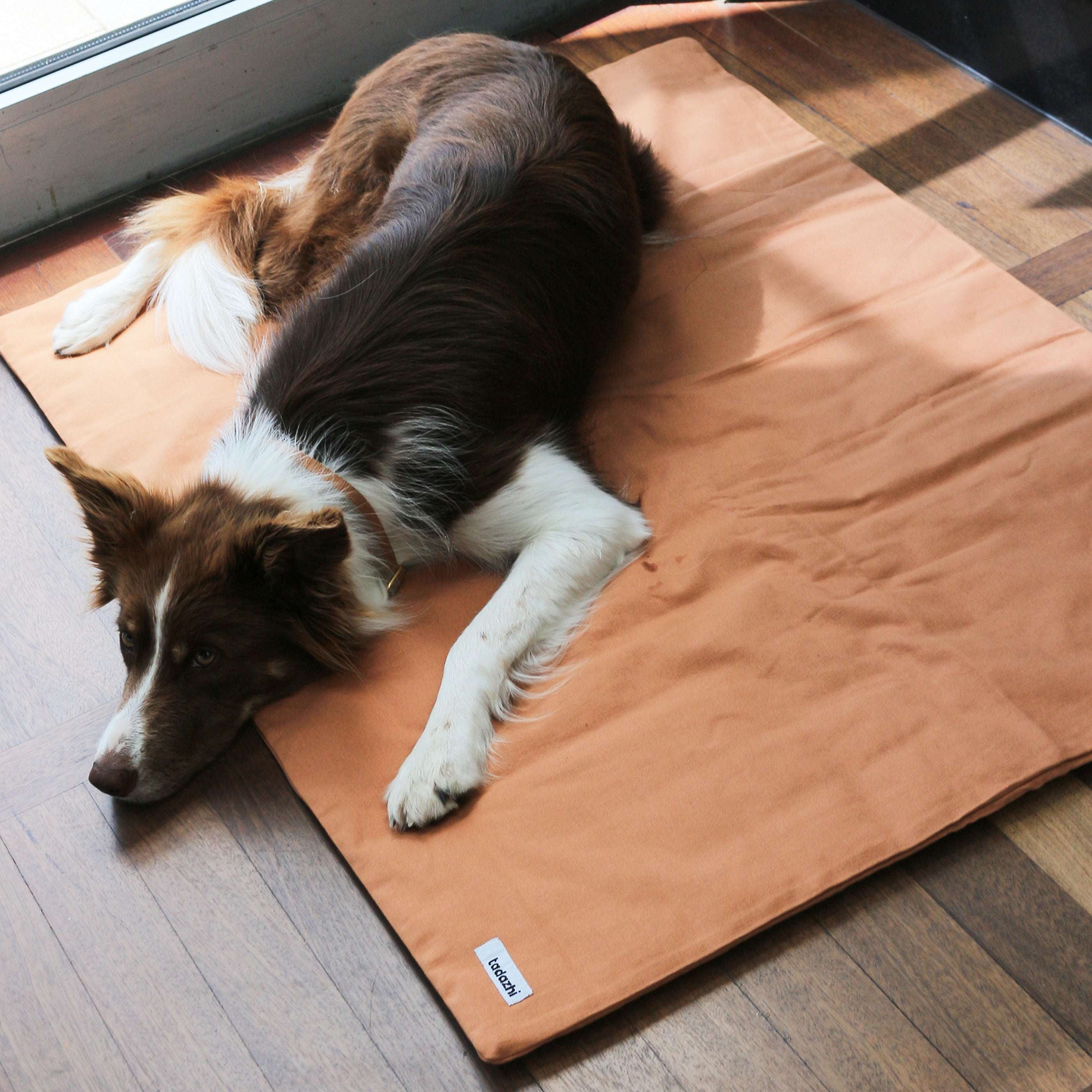 Dog resting comfortably on Tadazhi duvet pet blanket in light brown organic cotton.