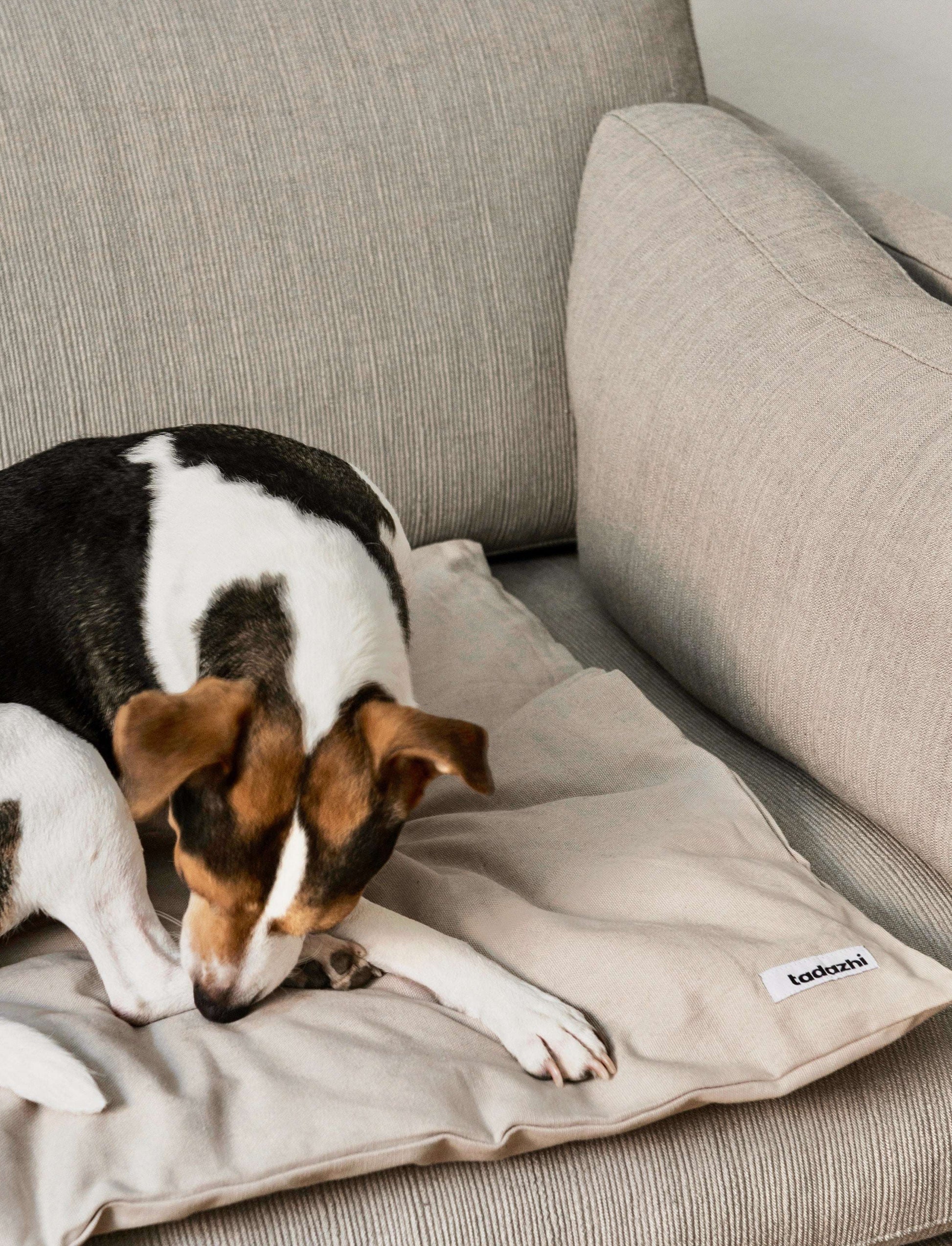 Tadazhi organic cotton duvet pet blanket in light grey, versatile minimalist bedding for pets on sofa, car, or floor