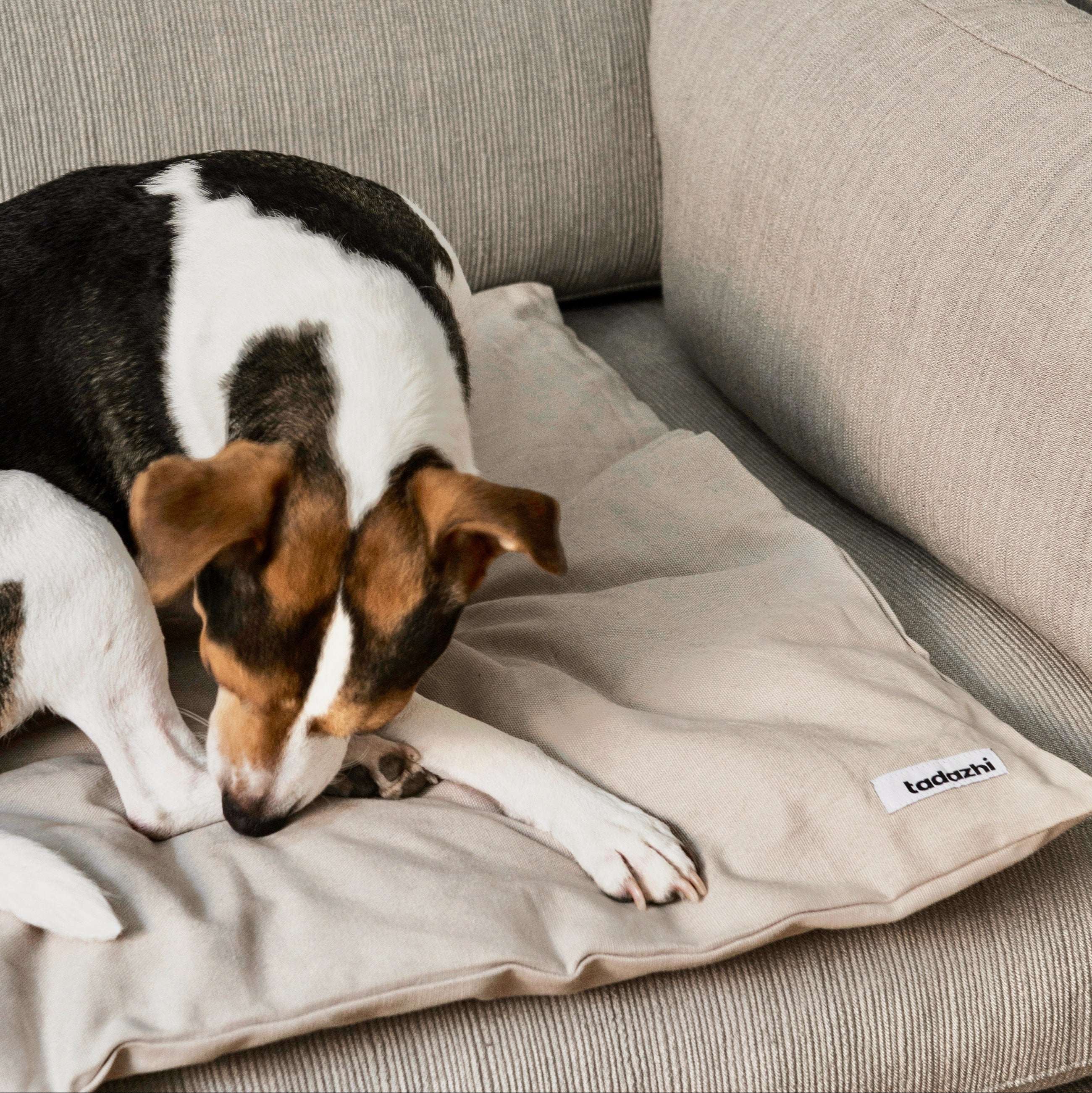 Tadazhi organic cotton duvet pet blanket in light grey, versatile minimalist bedding for pets on sofa, car, or floor