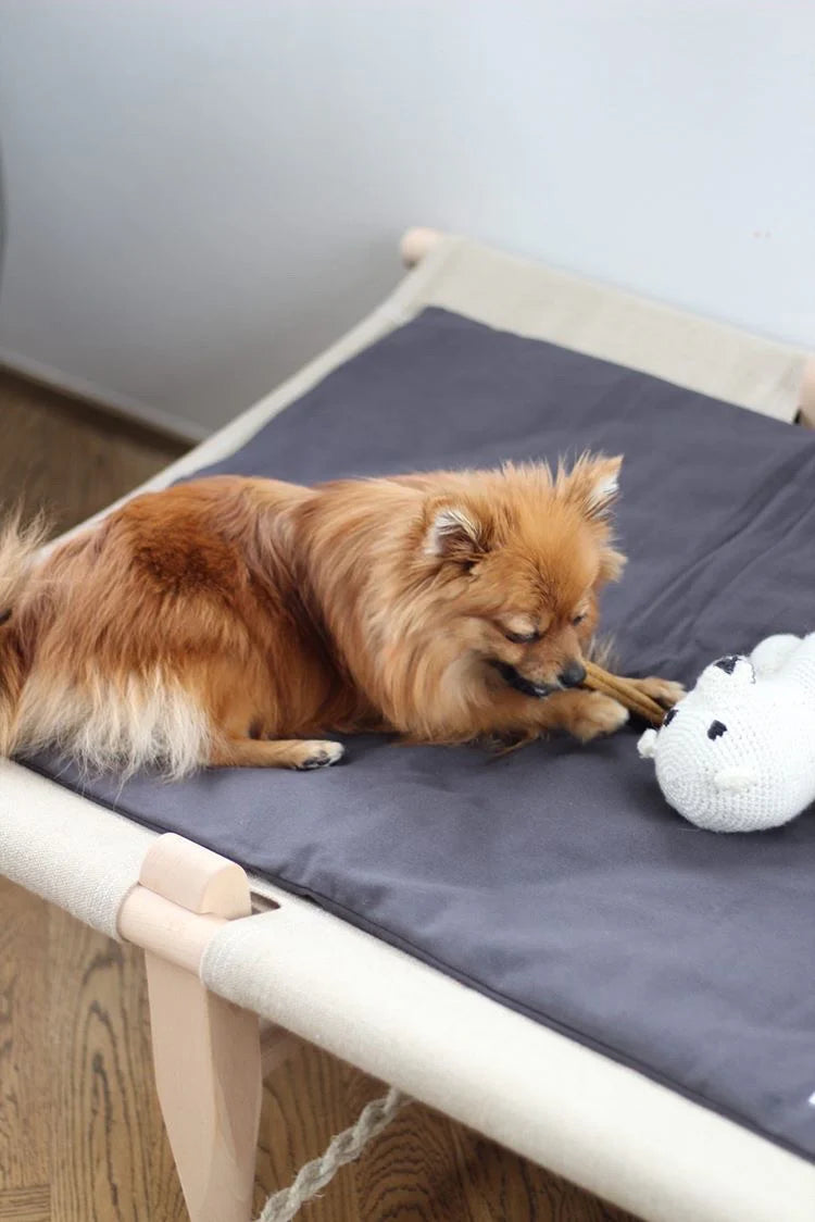 Dog resting comfortably on Tadazhi duvet pet blanket in dark grey organic cotton, cozy and sustainable bedding from Lumi Pets Sleep collection.