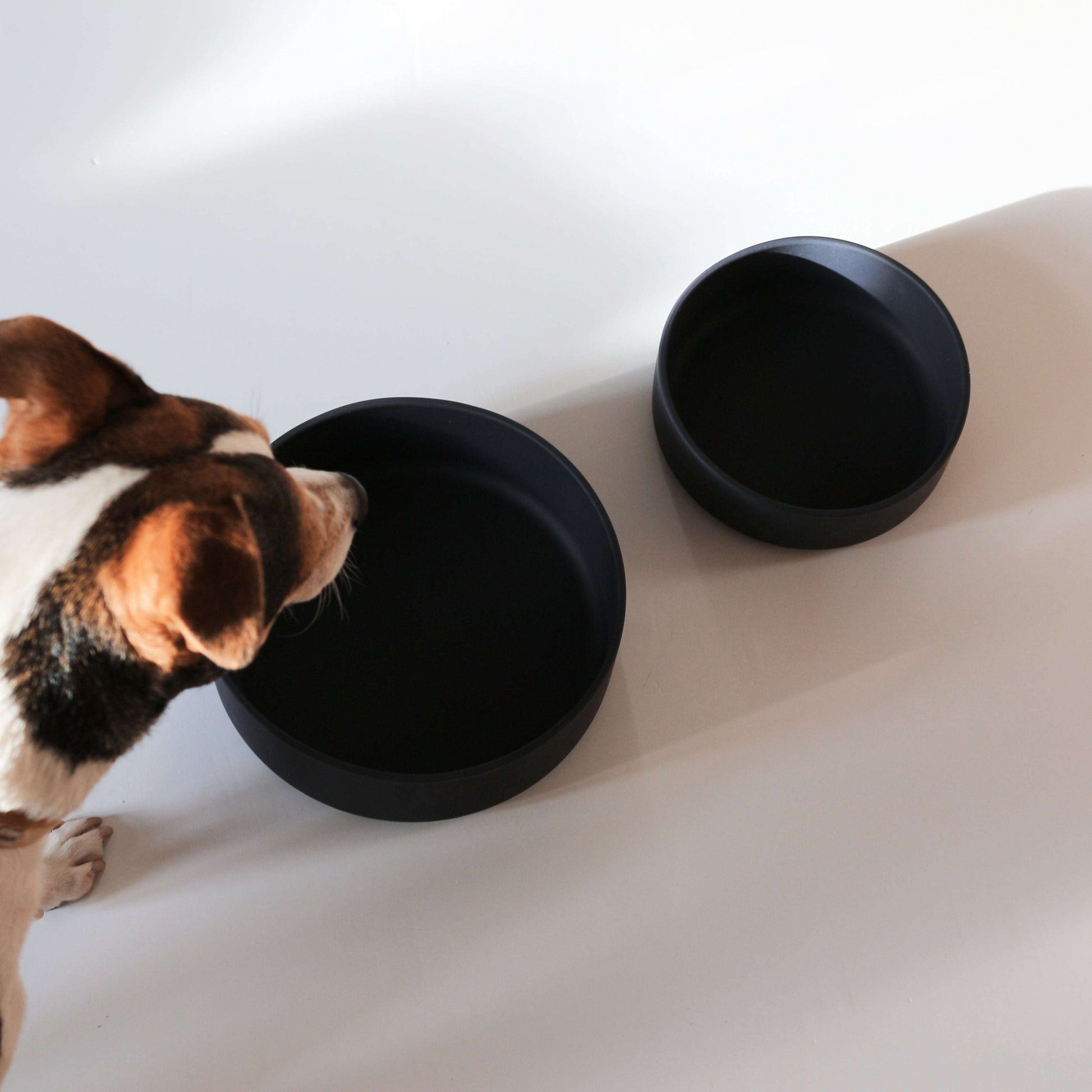 Top view of Tadazhi dark grey silicone pet food bowl, wide opening for easy feeding