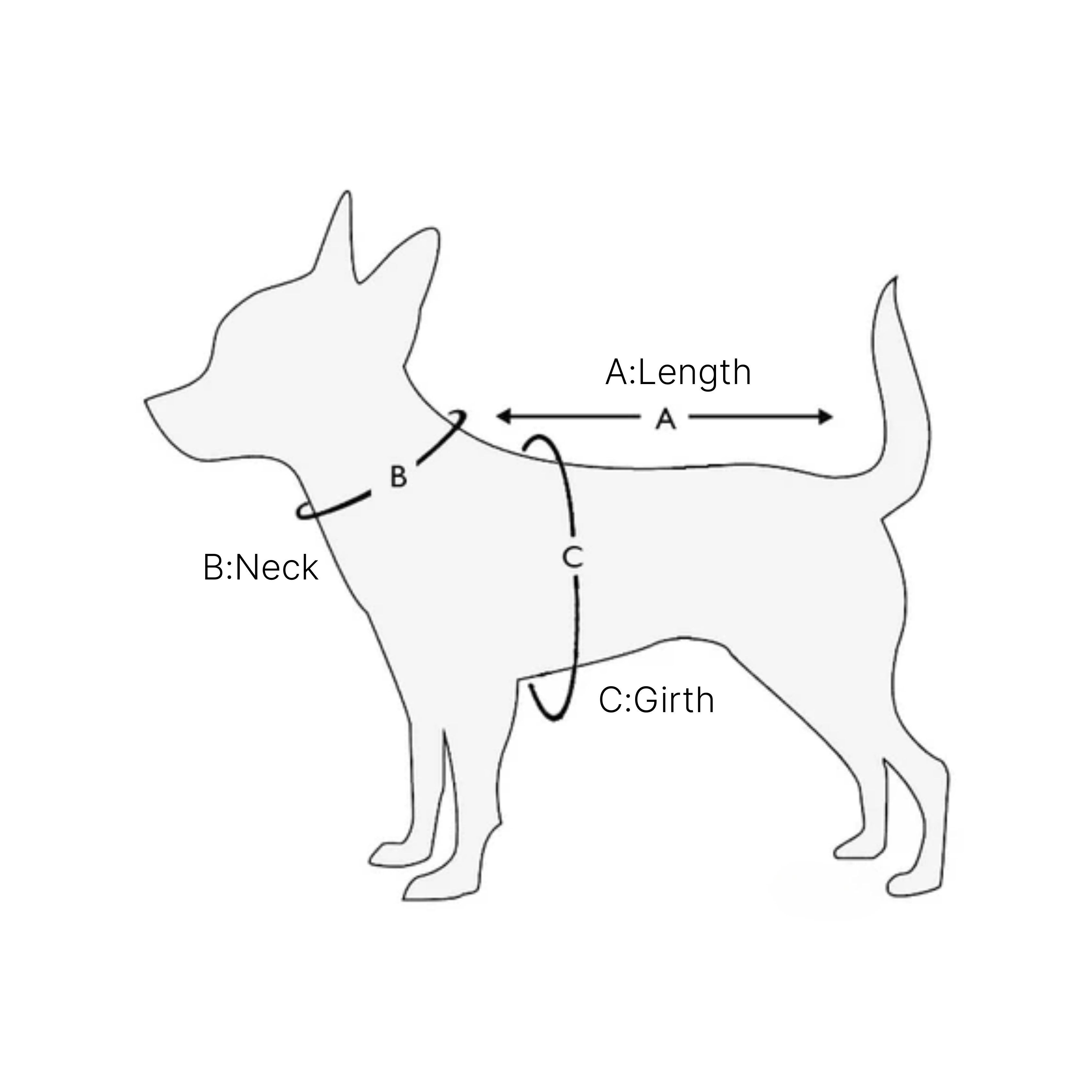 LUMI PETS