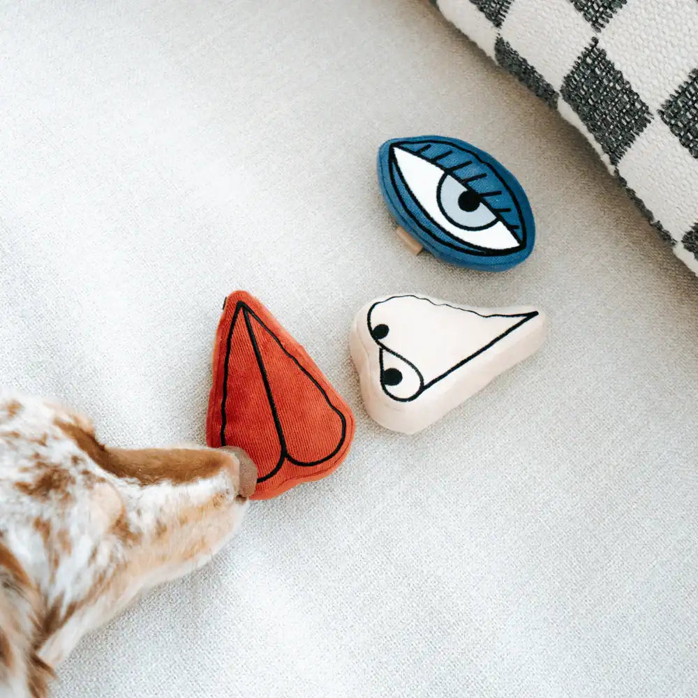 Lambwolf Collective Picasso Set of three abstract plush dog toys, artistic and textured designs crafted for enrichment play