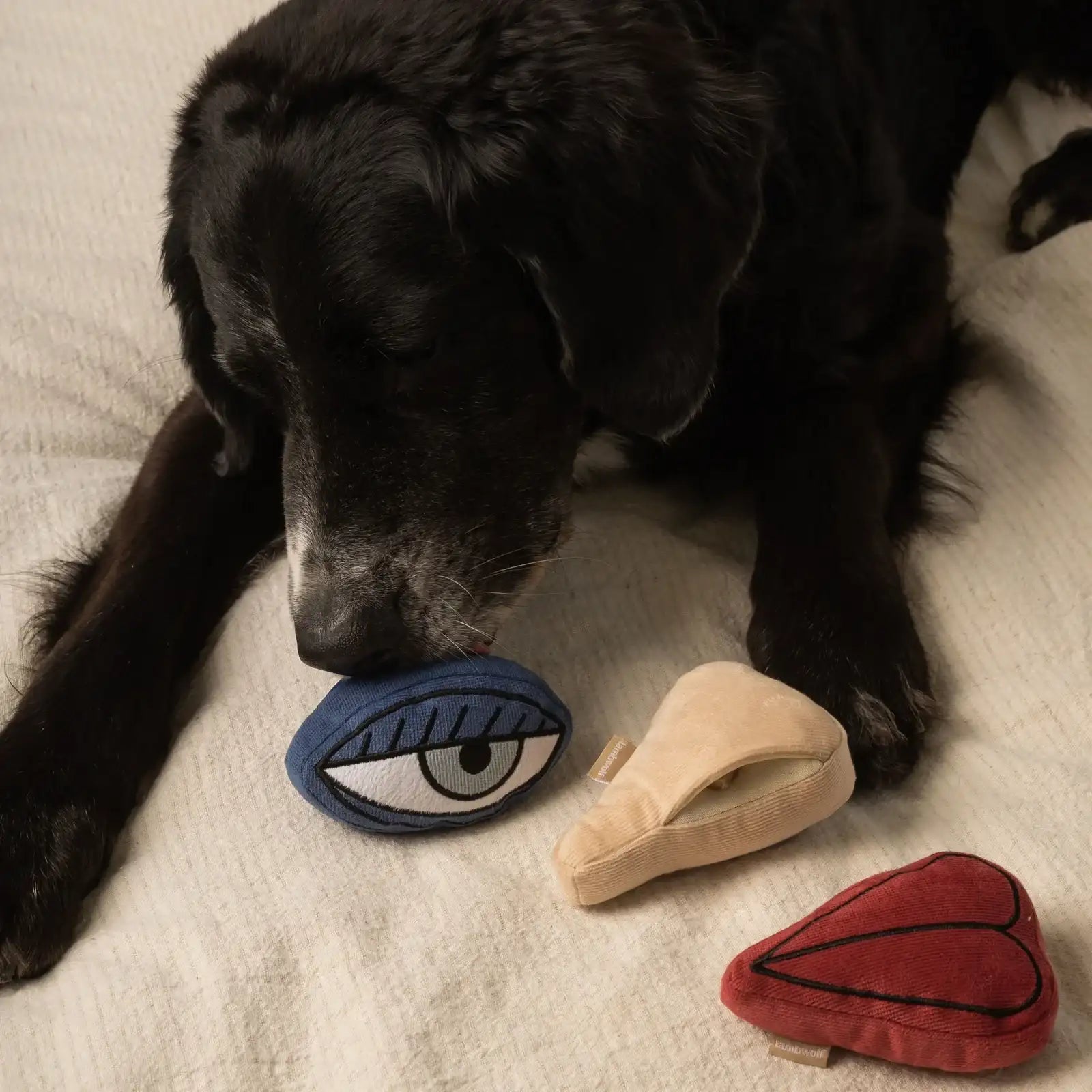 Dog playing with Lambwolf Collective Picasso Set plush toy, interactive and whimsical design for creative play