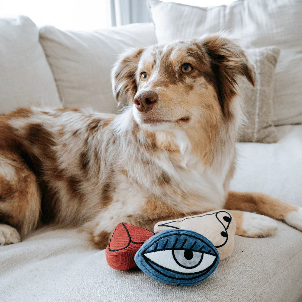 Dog posing with Lambwolf Collective Picasso Set plush toys, creative and art-inspired enrichment accessories
