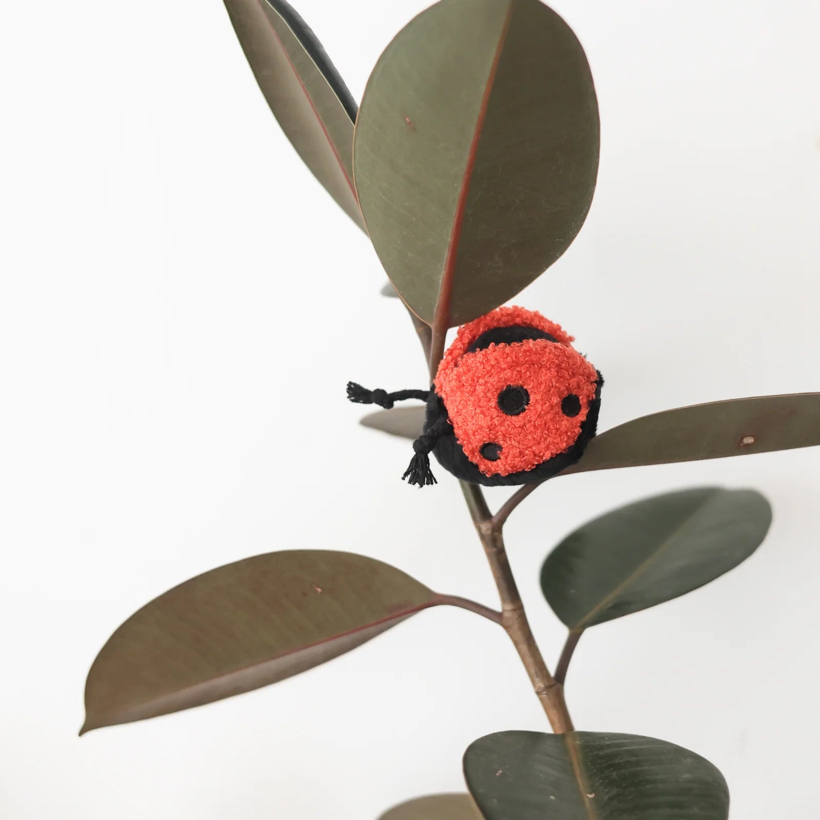 Lambwolf Collective Ladybug Pop interactive dog toy with red and black plush fabric, includes removable ball for hide-and-seek play