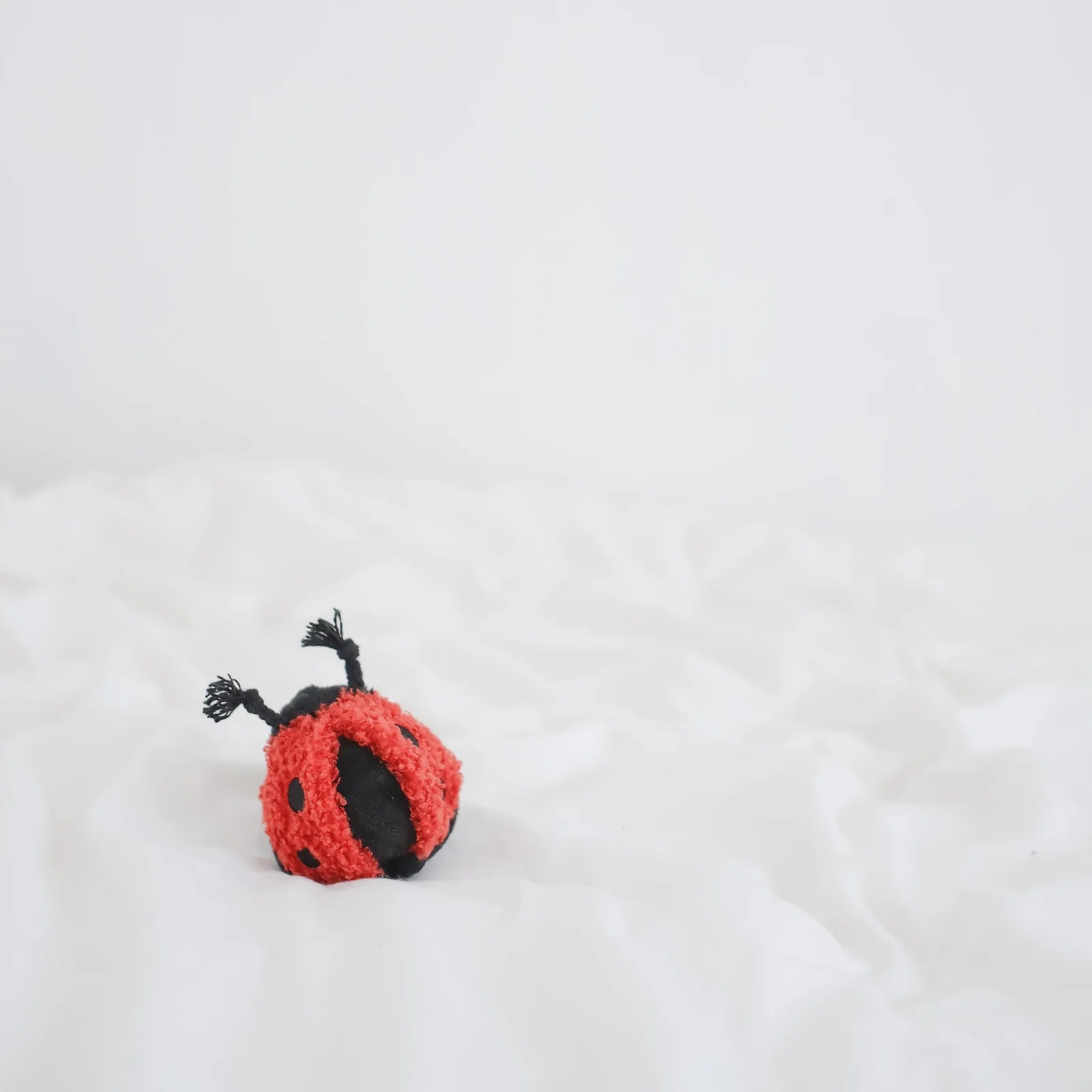 Lambwolf Collective Ladybug Pop interactive dog toy set, playful ladybug design crafted from soft textured fabric.