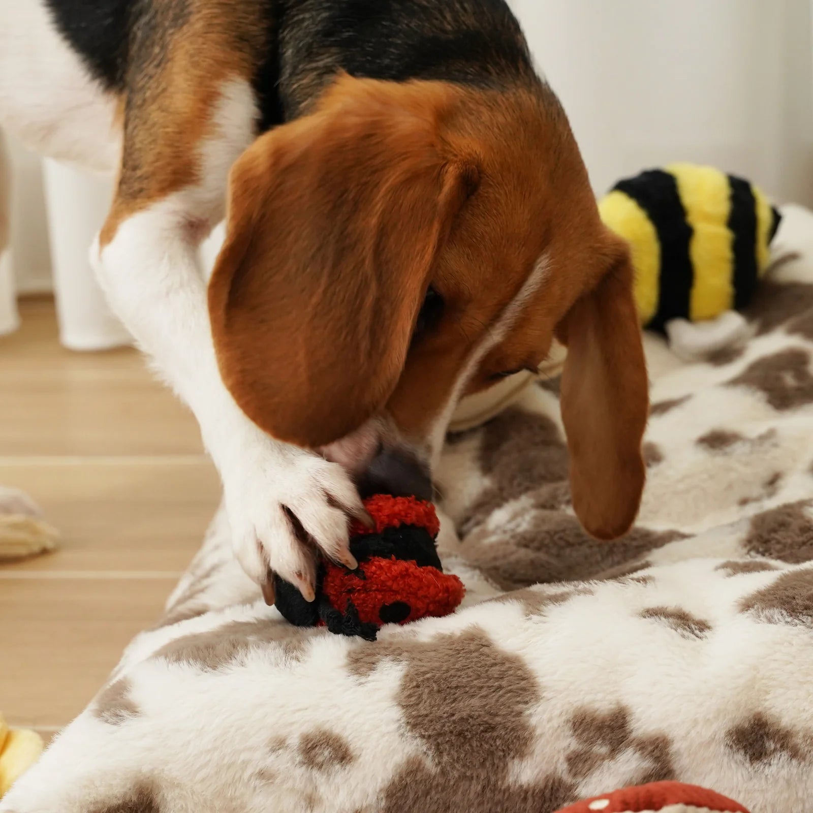 Dog playing with Lambwolf Collective Ladybug Pop interactive toy, exploring removable plush ball for fun hide-and-seek play