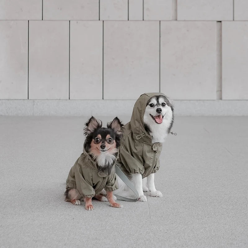 Two dogs posing side by side in Lambwolf Collective raincoats, breathable and adjustable fit for rainy-day walks
