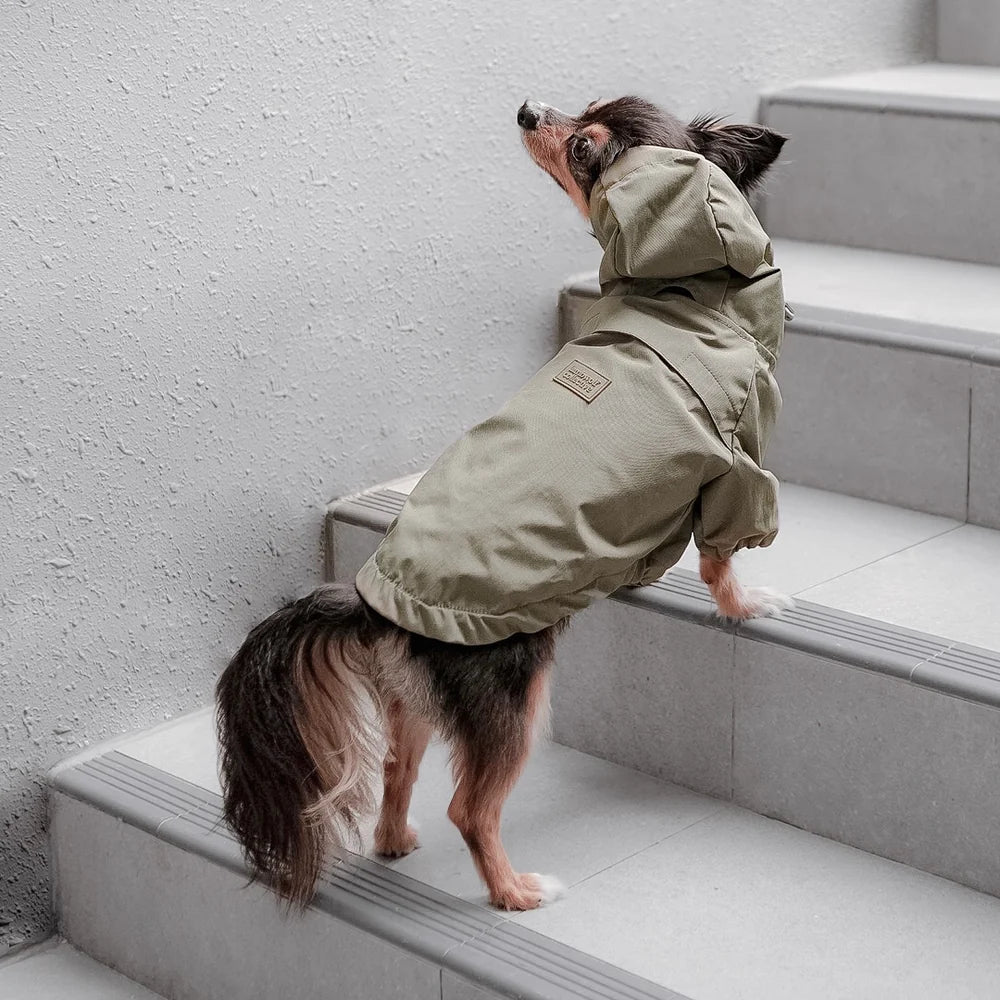 A dogs posing side by side in Lambwolf Collective raincoats, breathable and adjustable fit for rainy-day walks