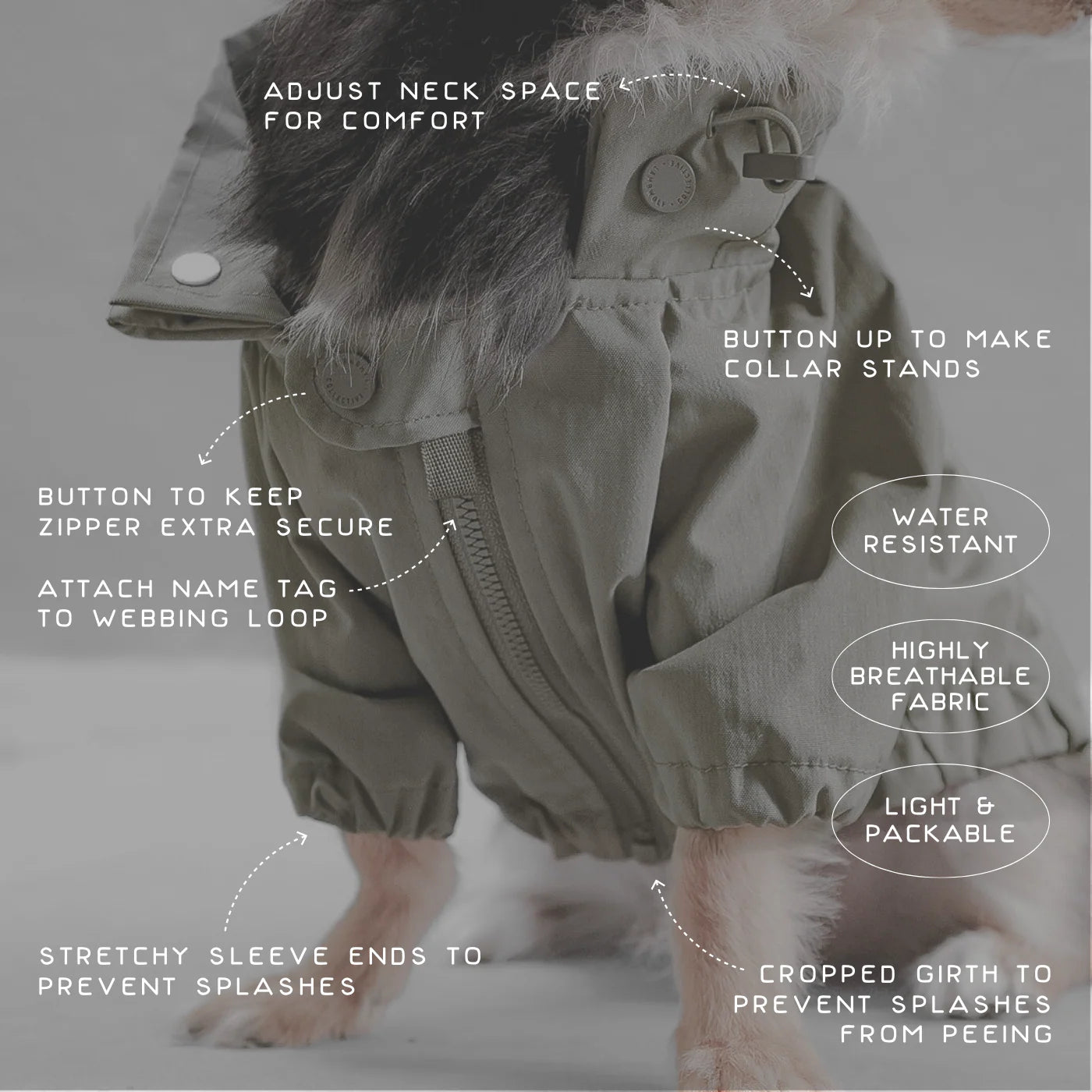 Lambwolf Collective waterproof dog raincoats in sage green, functional and stylish outerwear