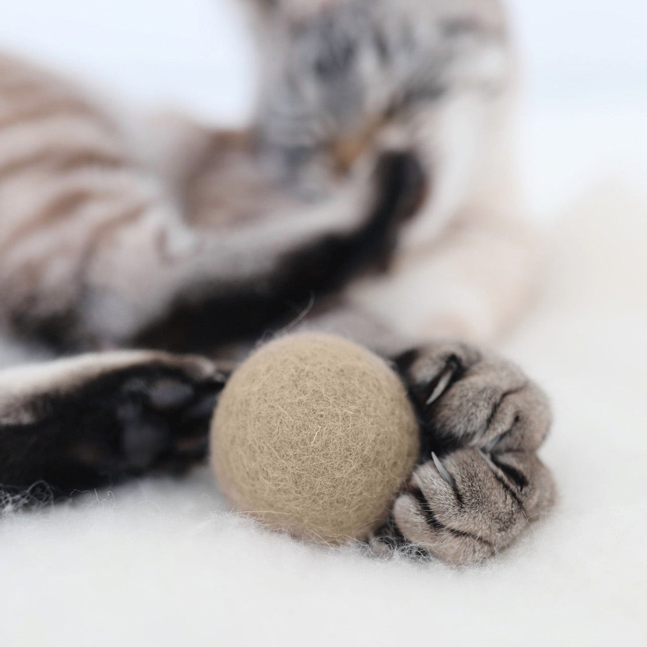 Close-up of MiaCara Globo cat toy ball in natural wool felt, soft and durable for playful cats.