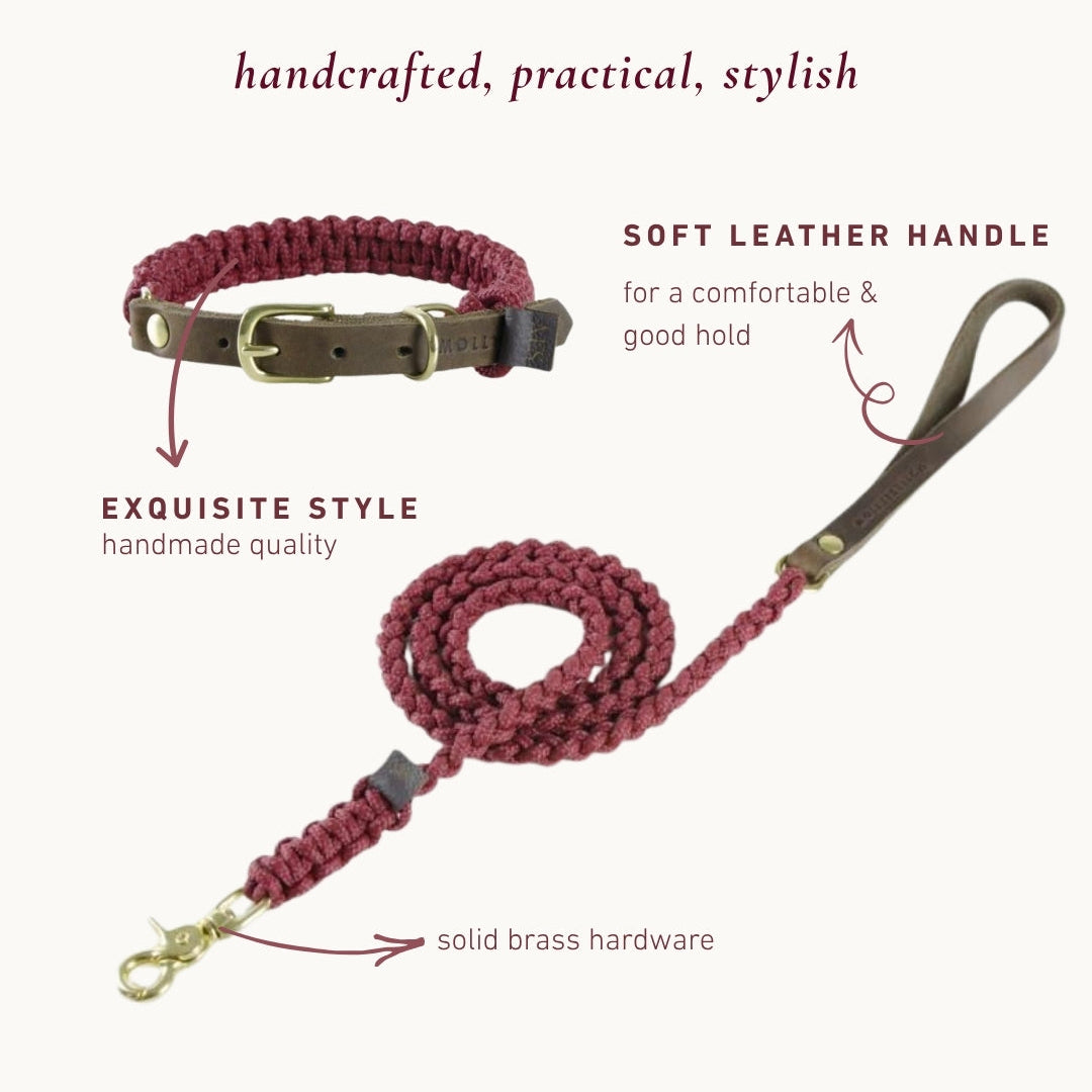 Handmade Collar Walk Set