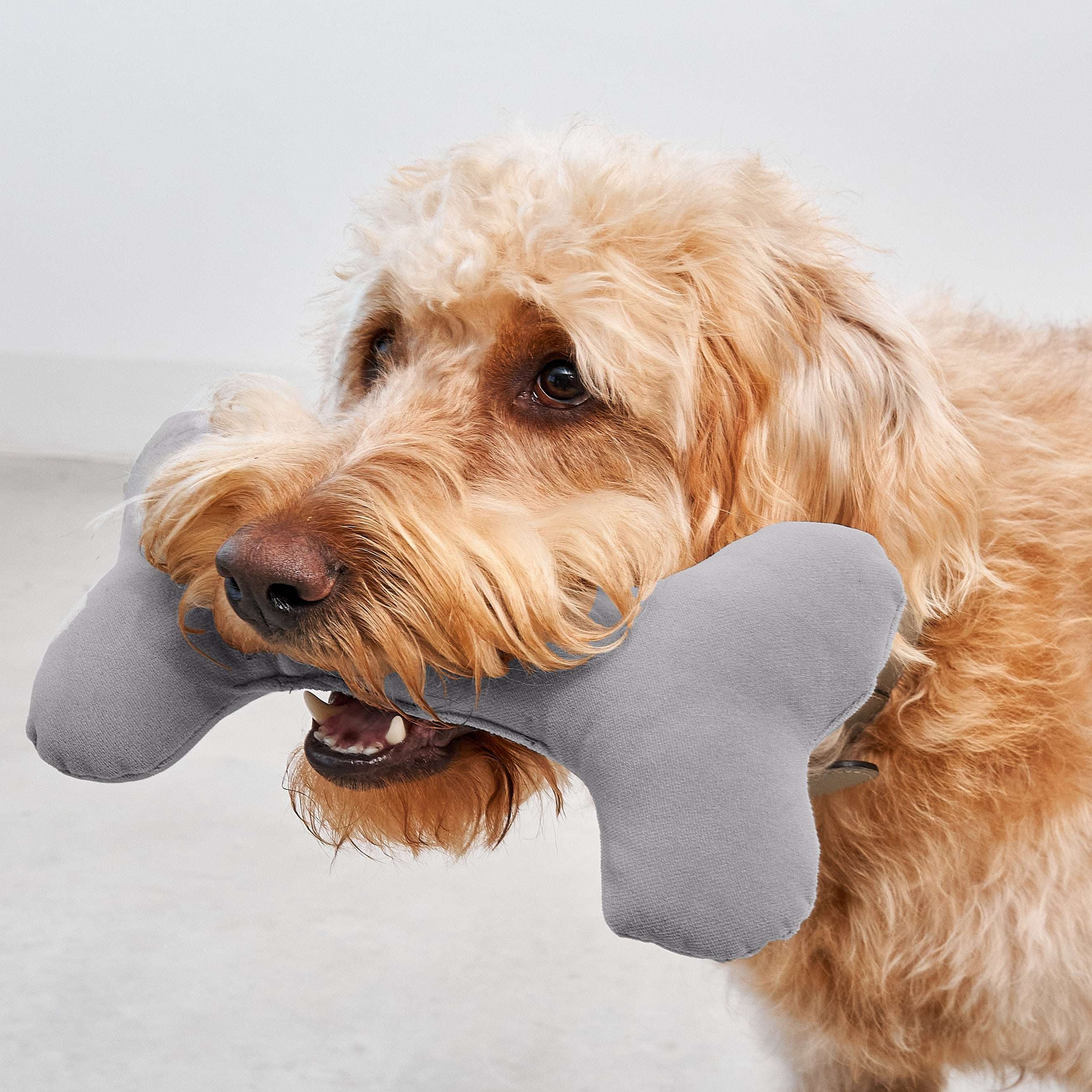 Dog chewing and playing with MiaCara plush toy bone in grey, soft yet durable design for everyday play