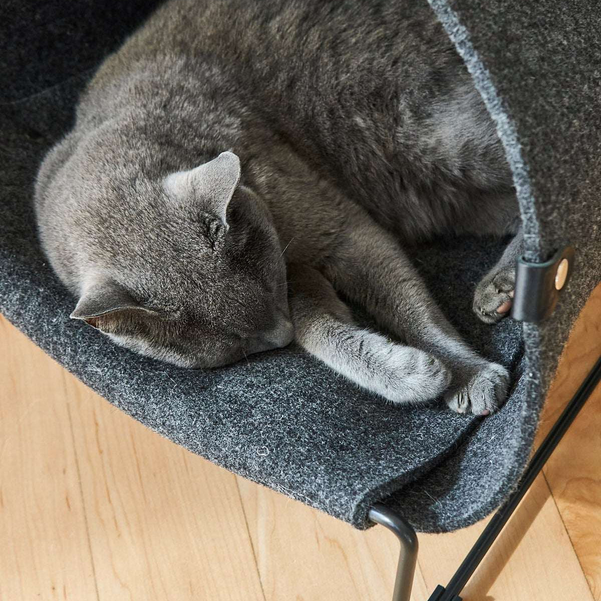 Cat lounging inside MiaCara Loggia felt cat cave in grey , modern raised hideaway with cozy enclosed design.