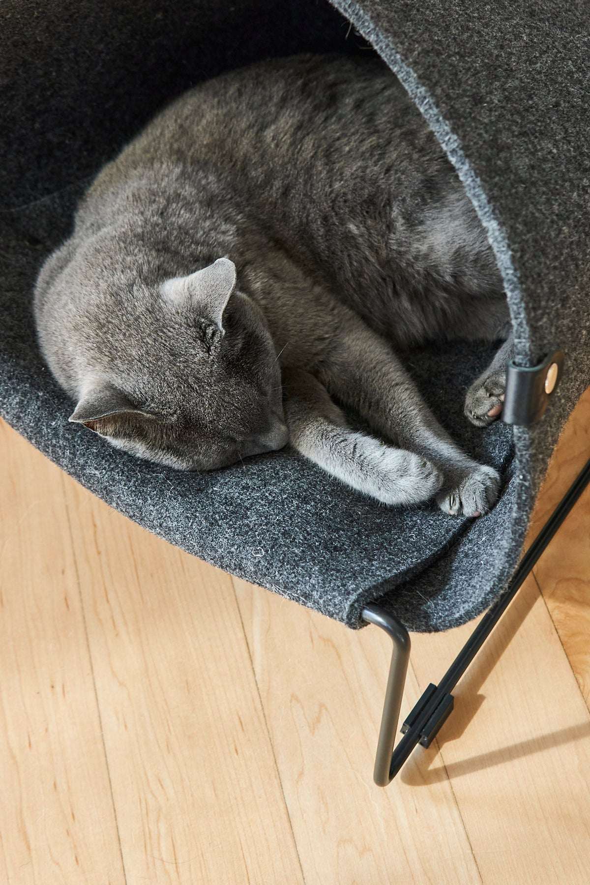 Cat lounging inside MiaCara Loggia felt cat cave in grey , modern raised hideaway with cozy enclosed design.