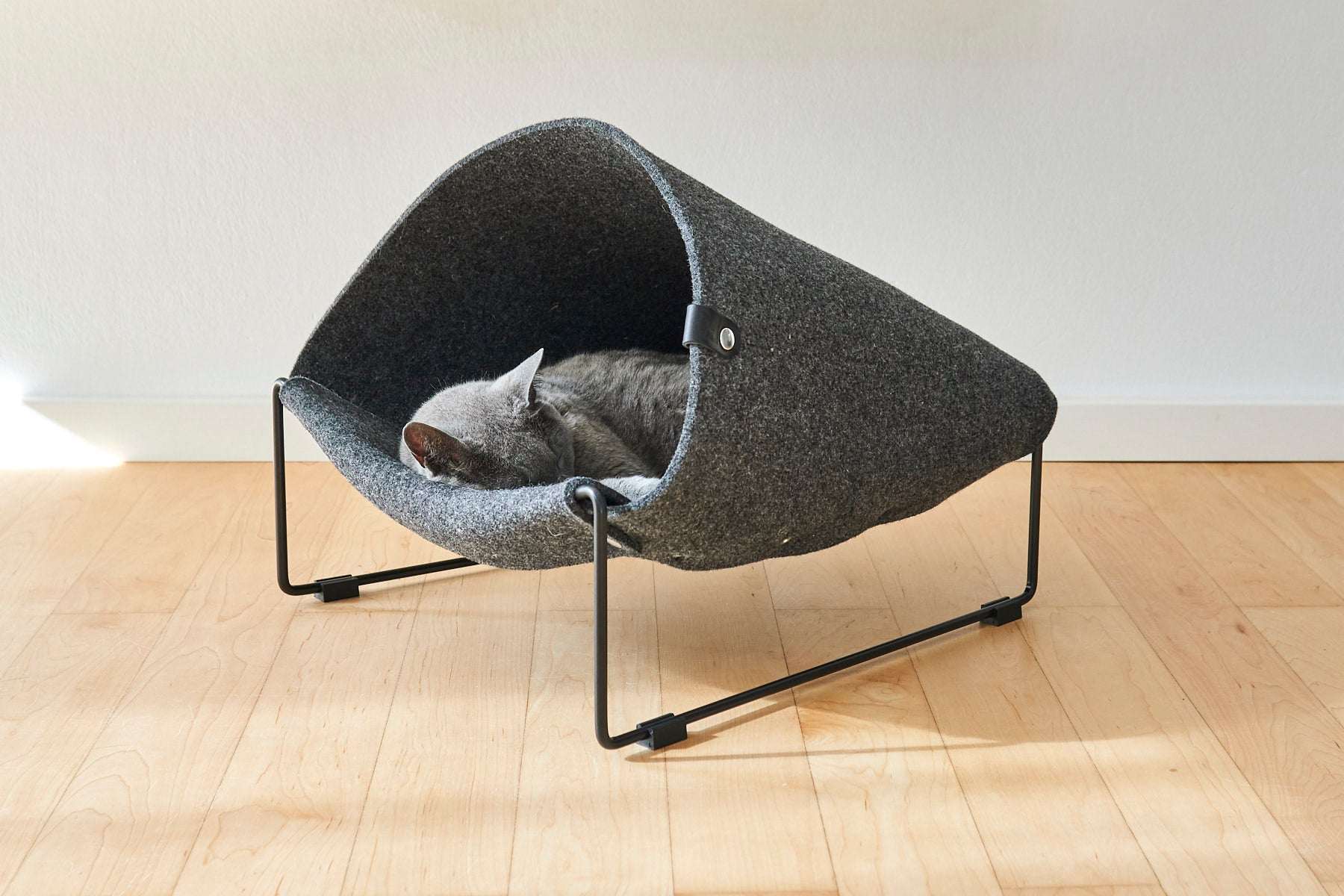 Cat lounging inside MiaCara Loggia felt cat cave in dark grey, modern raised hideaway with cozy enclosed design.