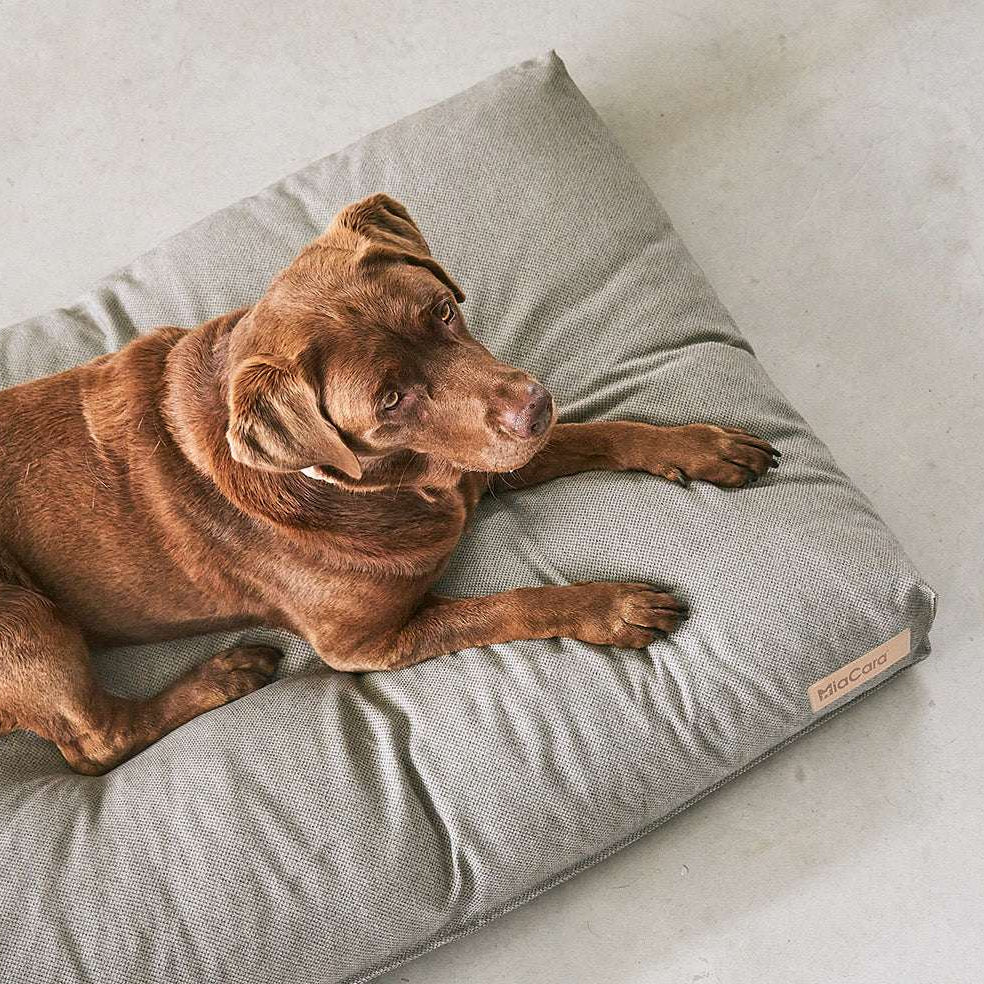 Top view of dog resting on MiaCara Mare dog cushion in grey, sleek and modern rectangular design