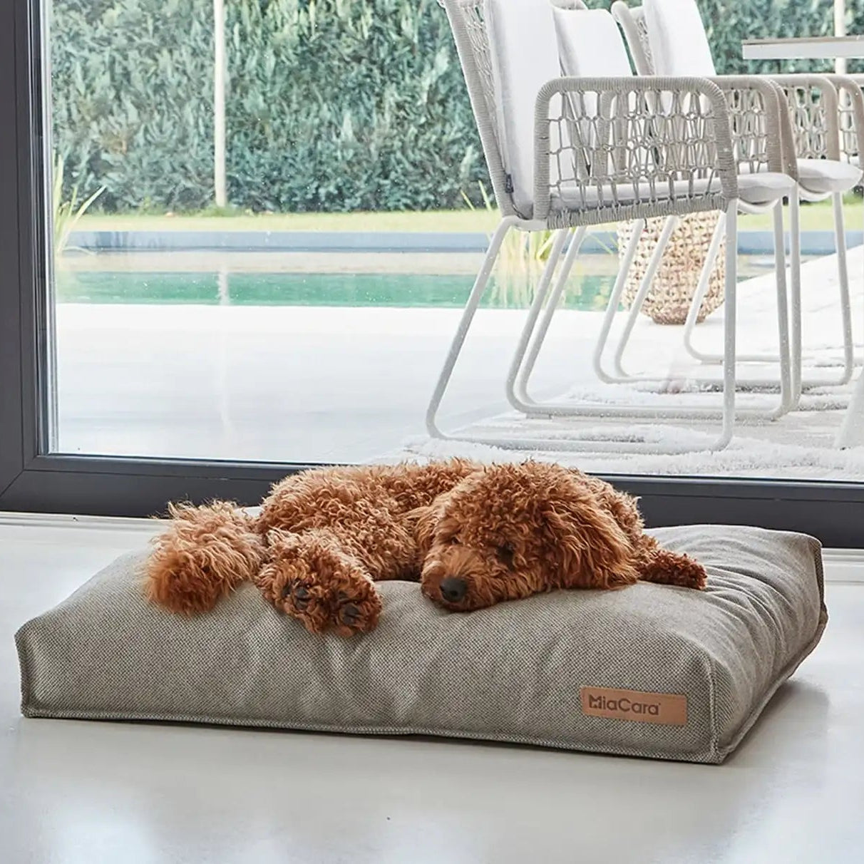 Dog resting on MiaCara Mare grey cushion in a minimalist scandanavian living room, comfortable and stylish bed from Lumi Pets Sleep collection