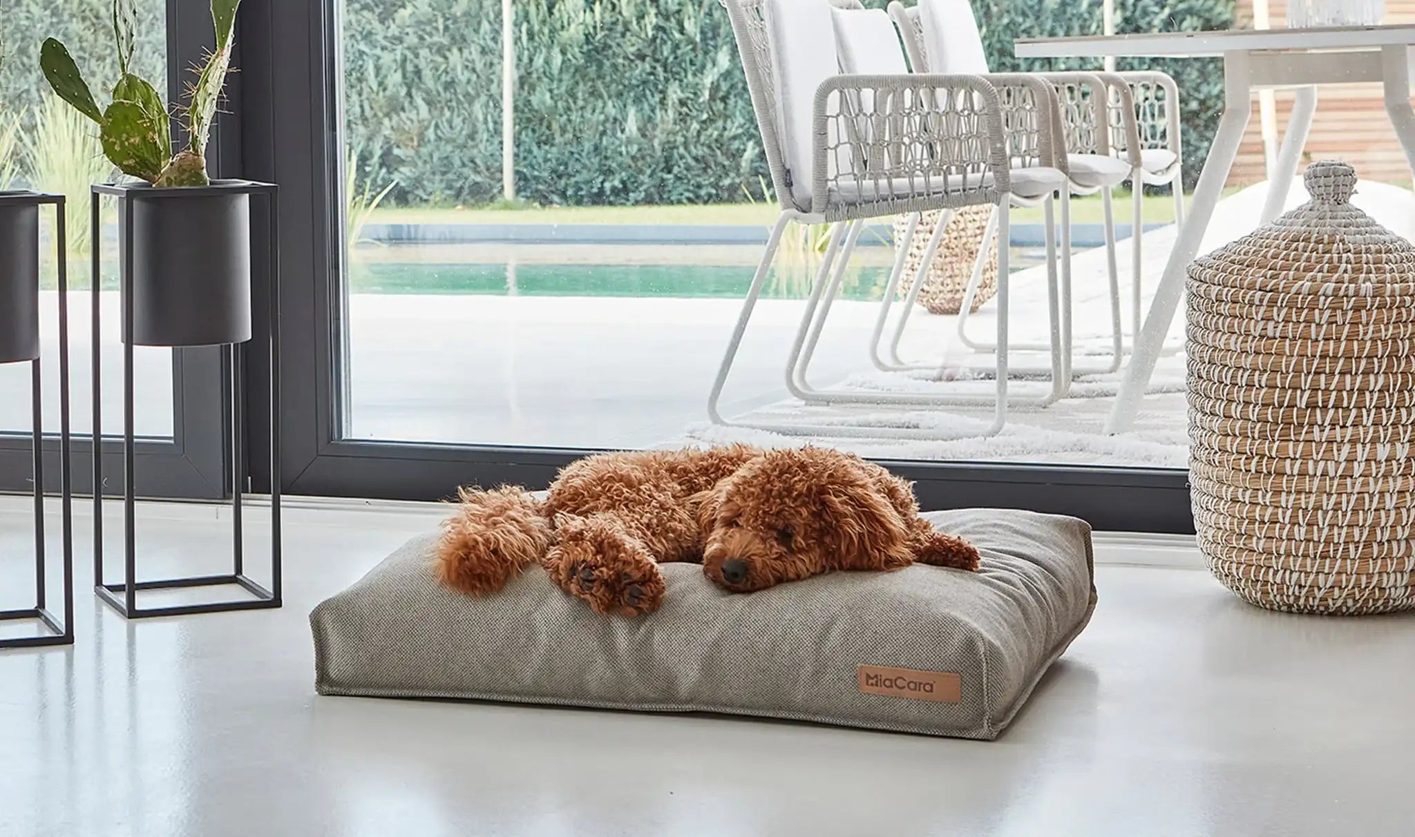 Dog resting on MiaCara Mare grey cushion in a minimalist scandanavian living room, comfortable and stylish bed from Lumi Pets Sleep collection