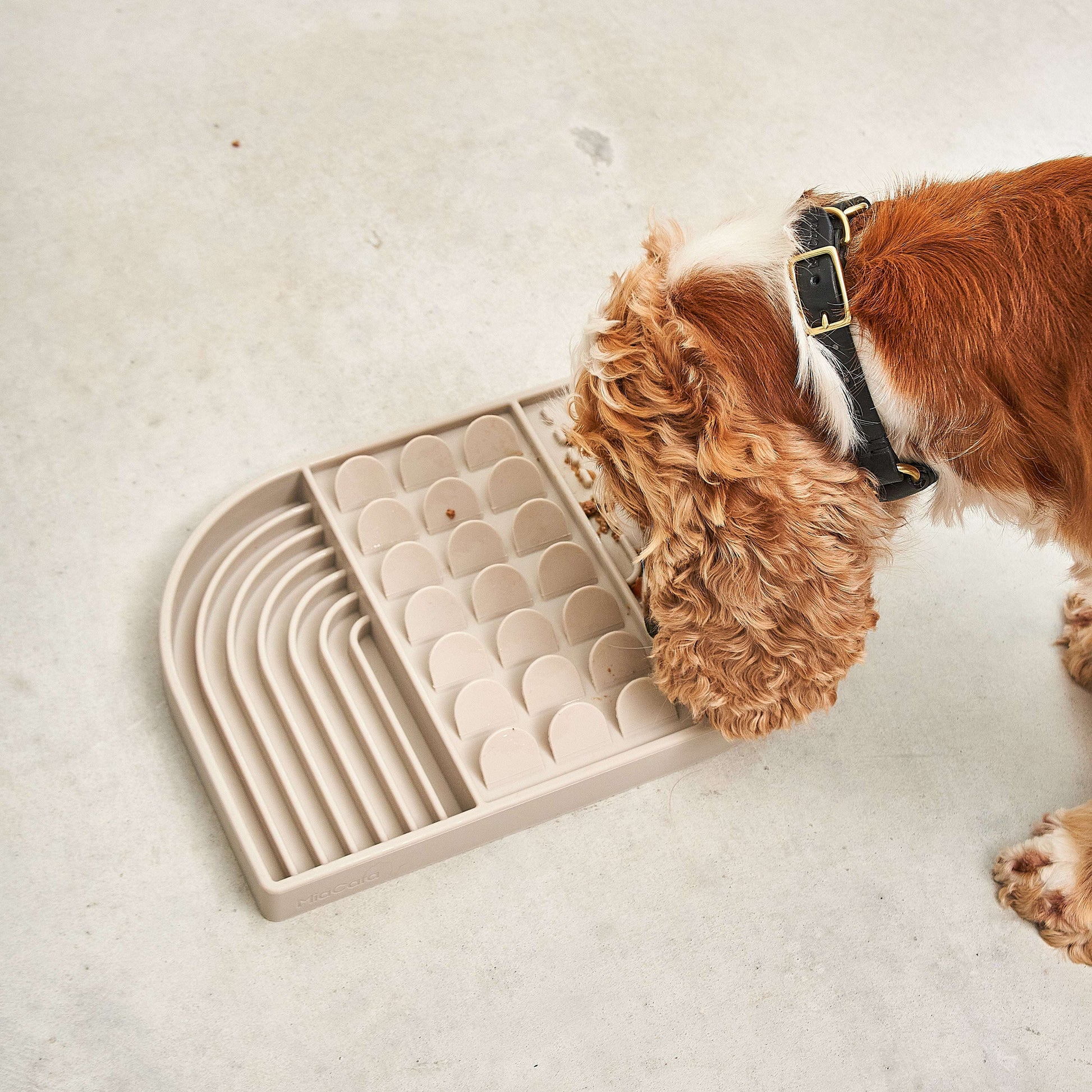 Top view of MiaCara Aperitivo slow feeder in taupe, interactive design to encourage slower eating and mental stimulation