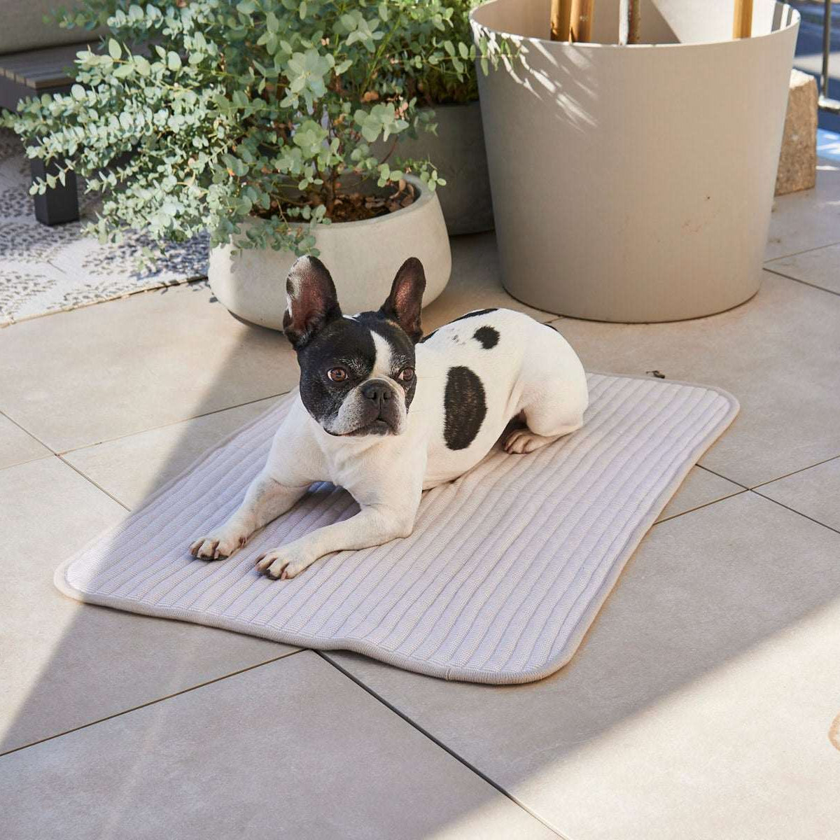 Pet resting on MiaCara Onda ribbed grey blanket, outdoor, cozy and elegant bedding from Lumi Pets Sleep collection