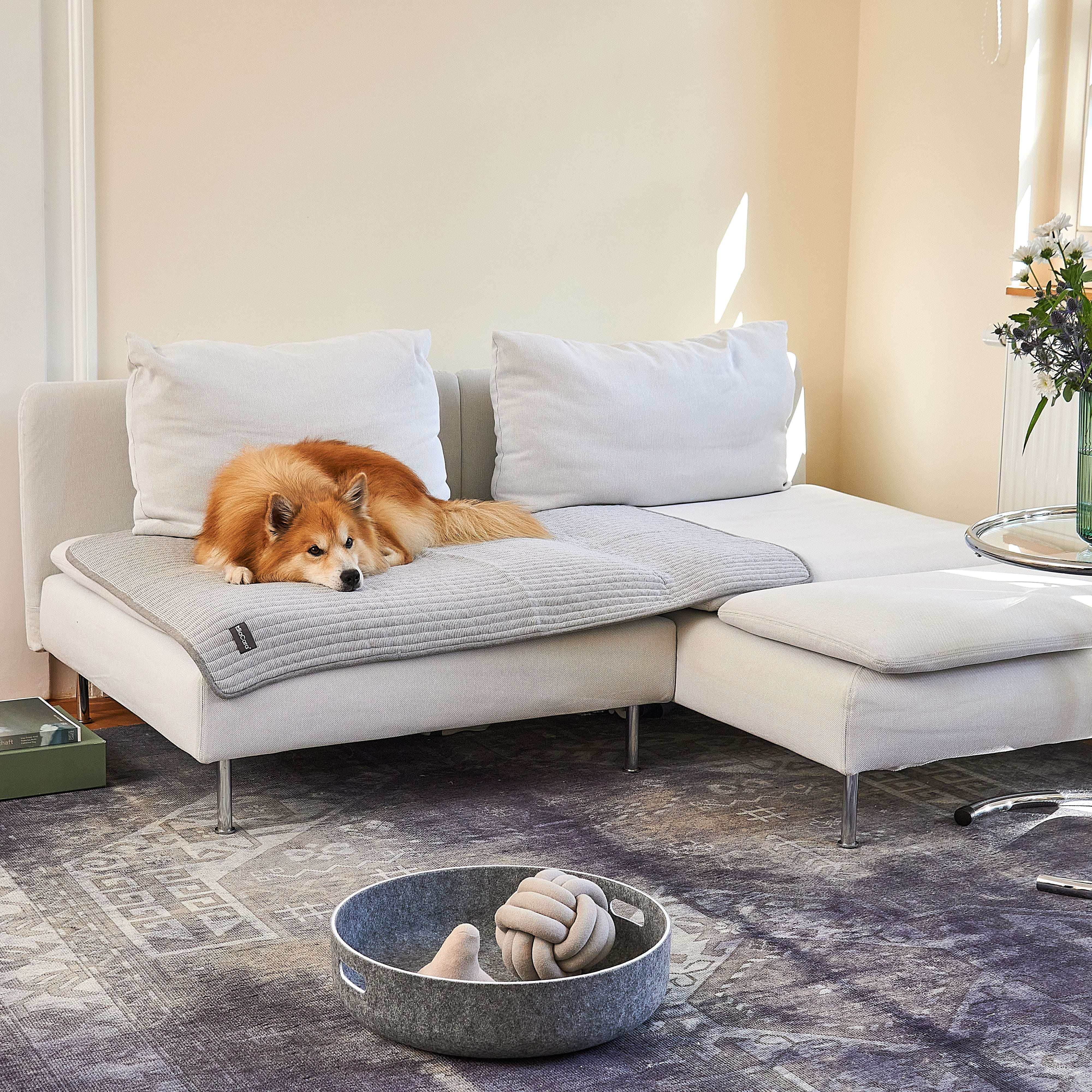Dog resting on a sofa covered with the MiaCara Onda ribbed grey blanket, cozy and minimalist pet accessory blending seamlessly into modern home decor