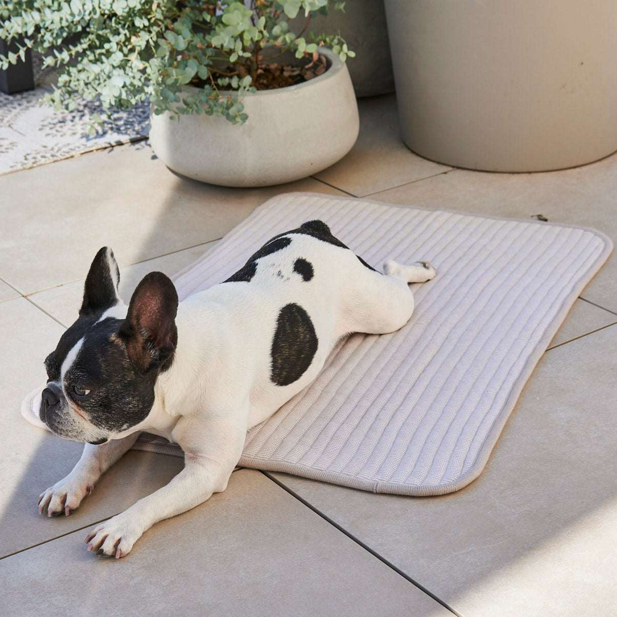 Pet resting on MiaCara Onda ribbed grey blanket, cozy and elegant bedding from Lumi Pets Sleep collection