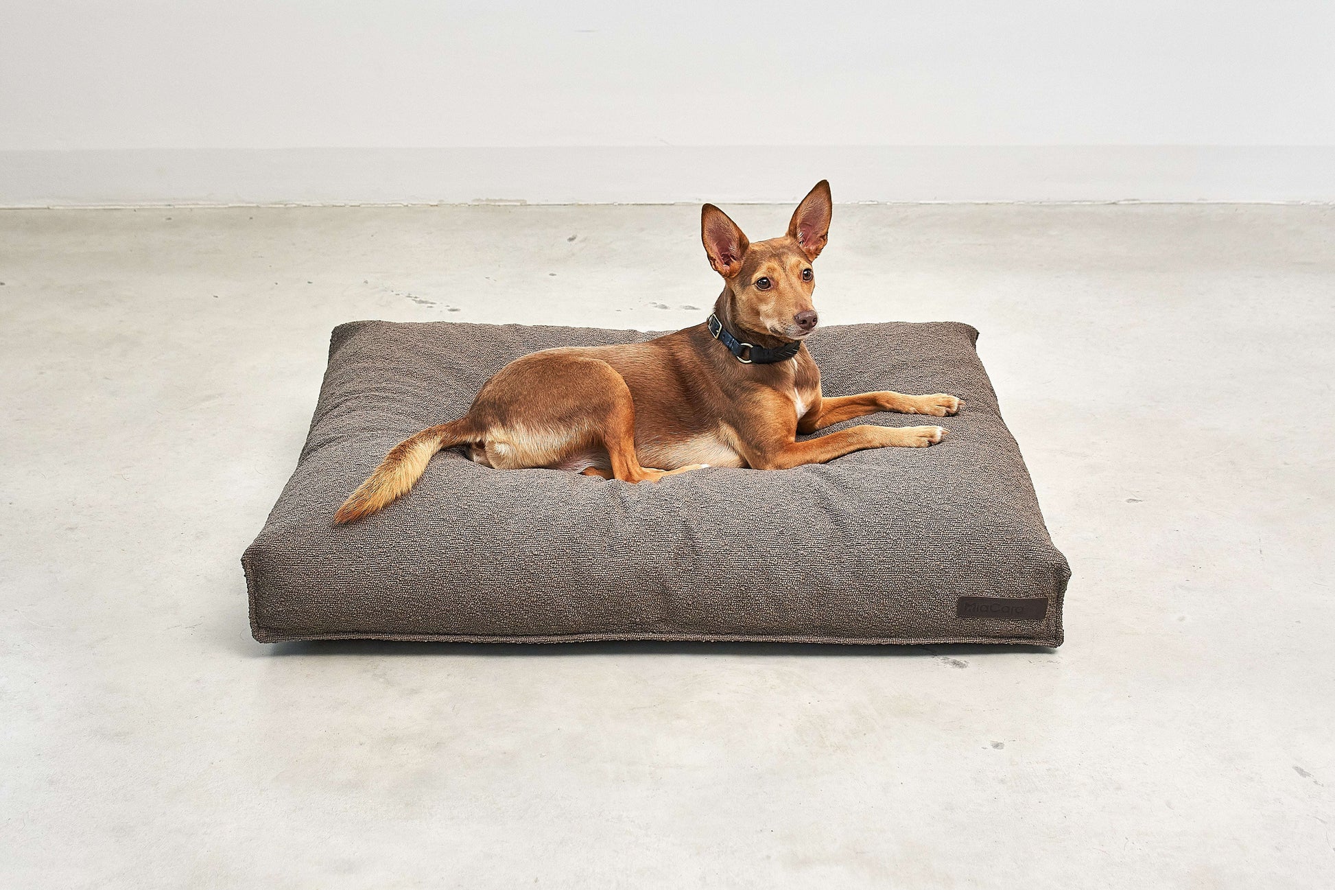 Dog lying on MiaCara Mondo brown cushion, orthopedic support and stylish minimalist bed from Lumi Pets Sleep collection.