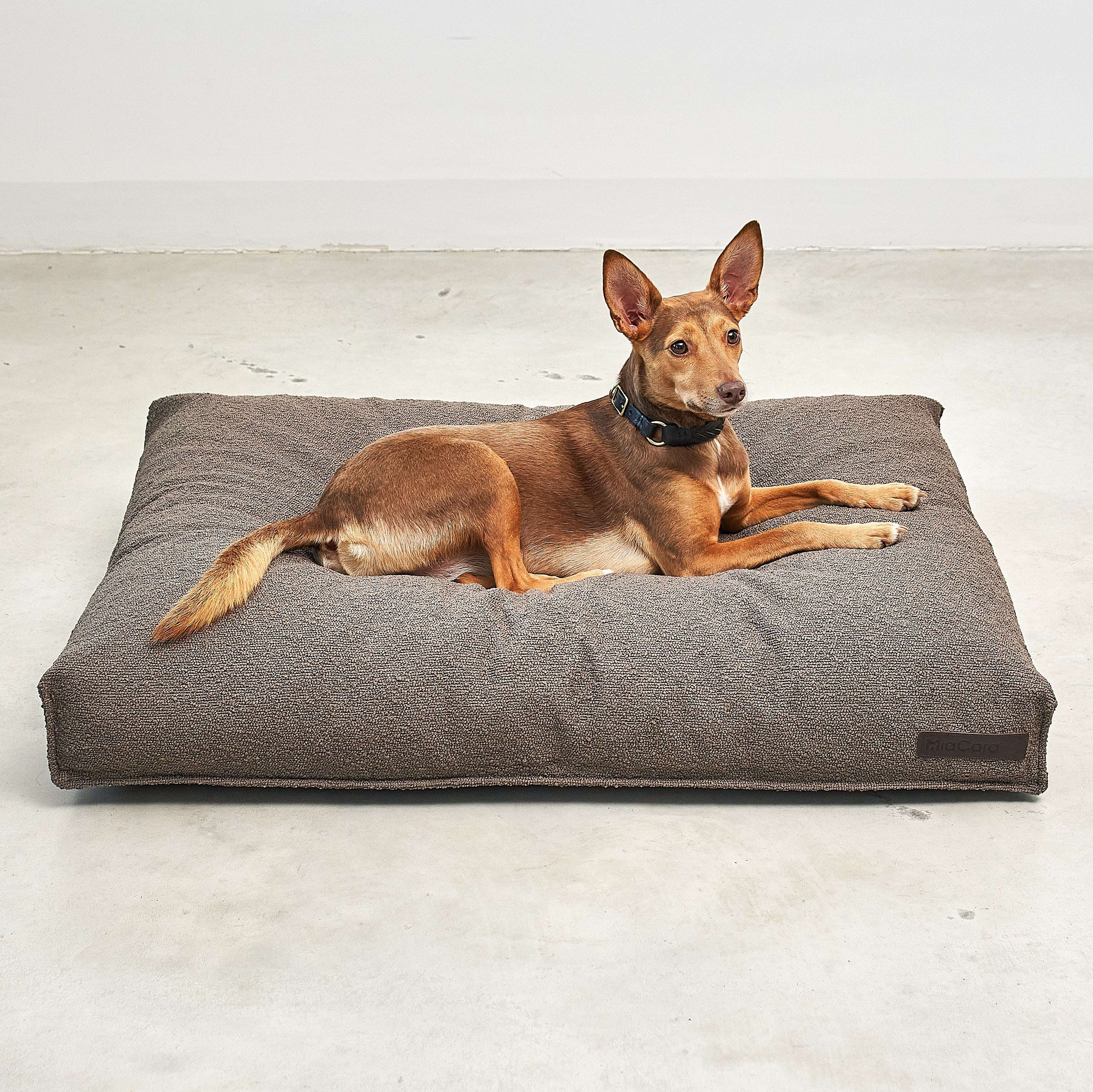 Dog lying on MiaCara Mondo brown cushion, orthopedic support and stylish minimalist bed from Lumi Pets Sleep collection.