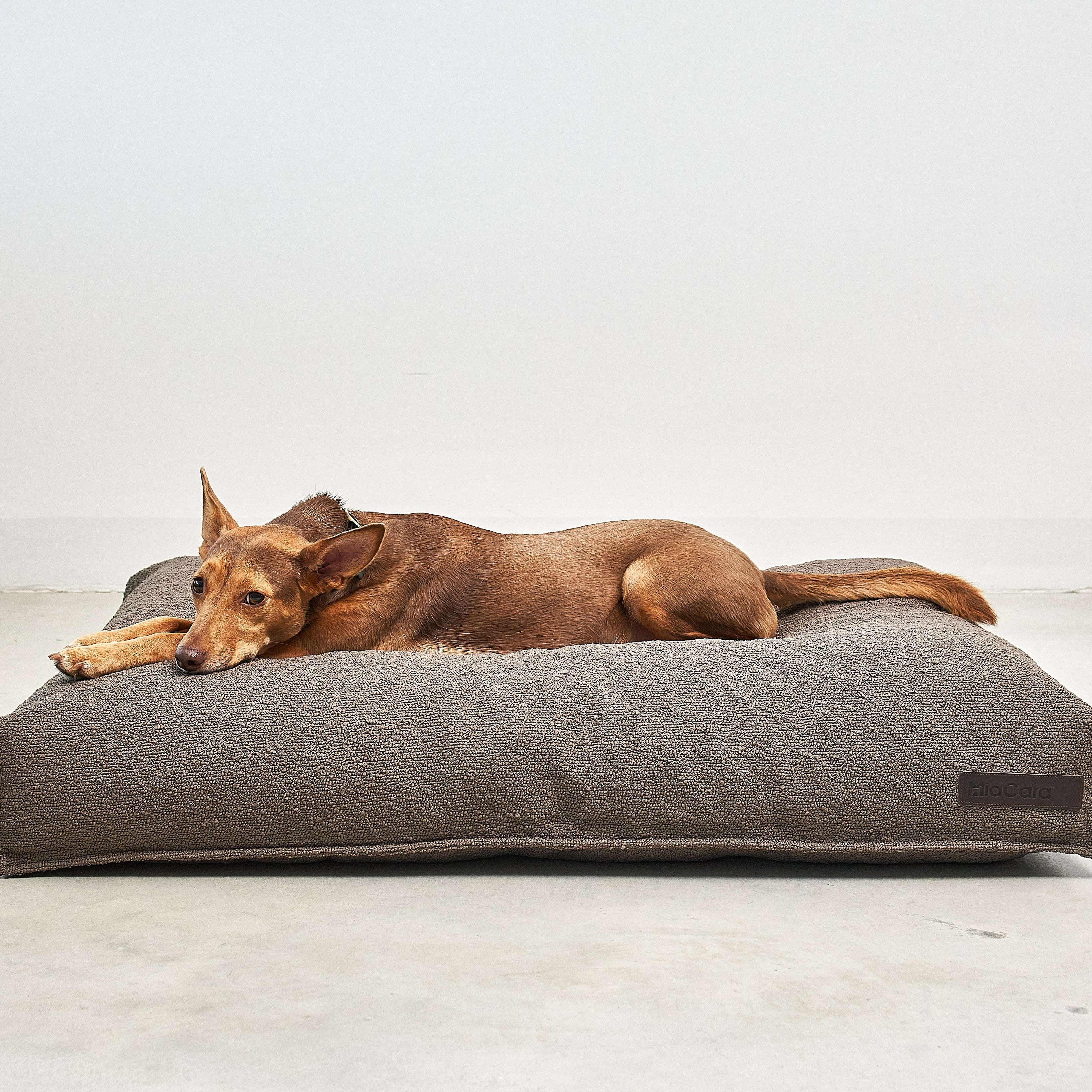 Dog lying on MiaCara Mondo brown cushion, orthopedic support and stylish minimalist bed from Lumi Pets Sleep collection.