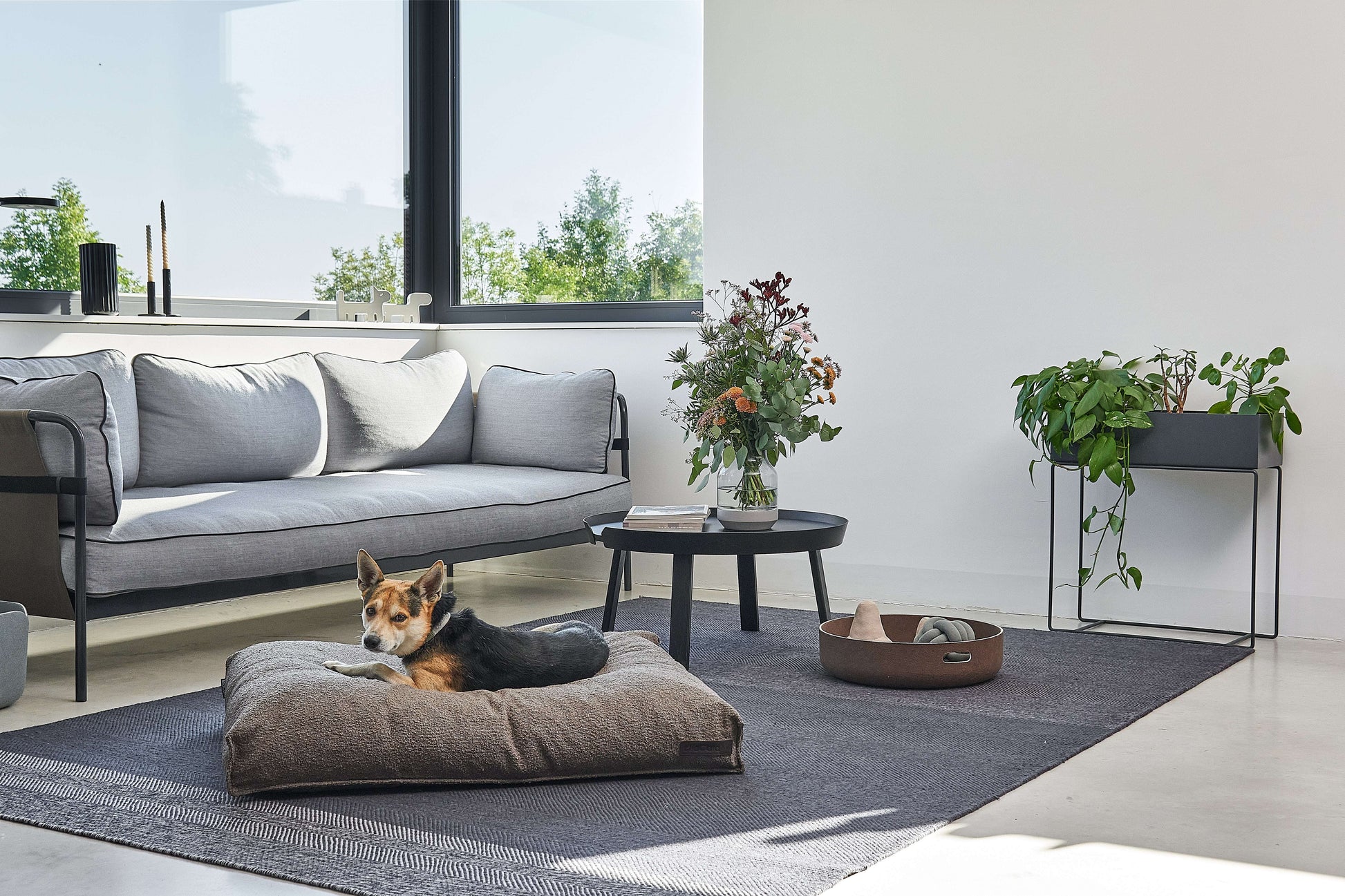 Dog lying on MiaCara Mondo brown cushion in a scandanavian living room, orthopedic support and stylish minimalist bed from Lumi Pets Sleep collection.
