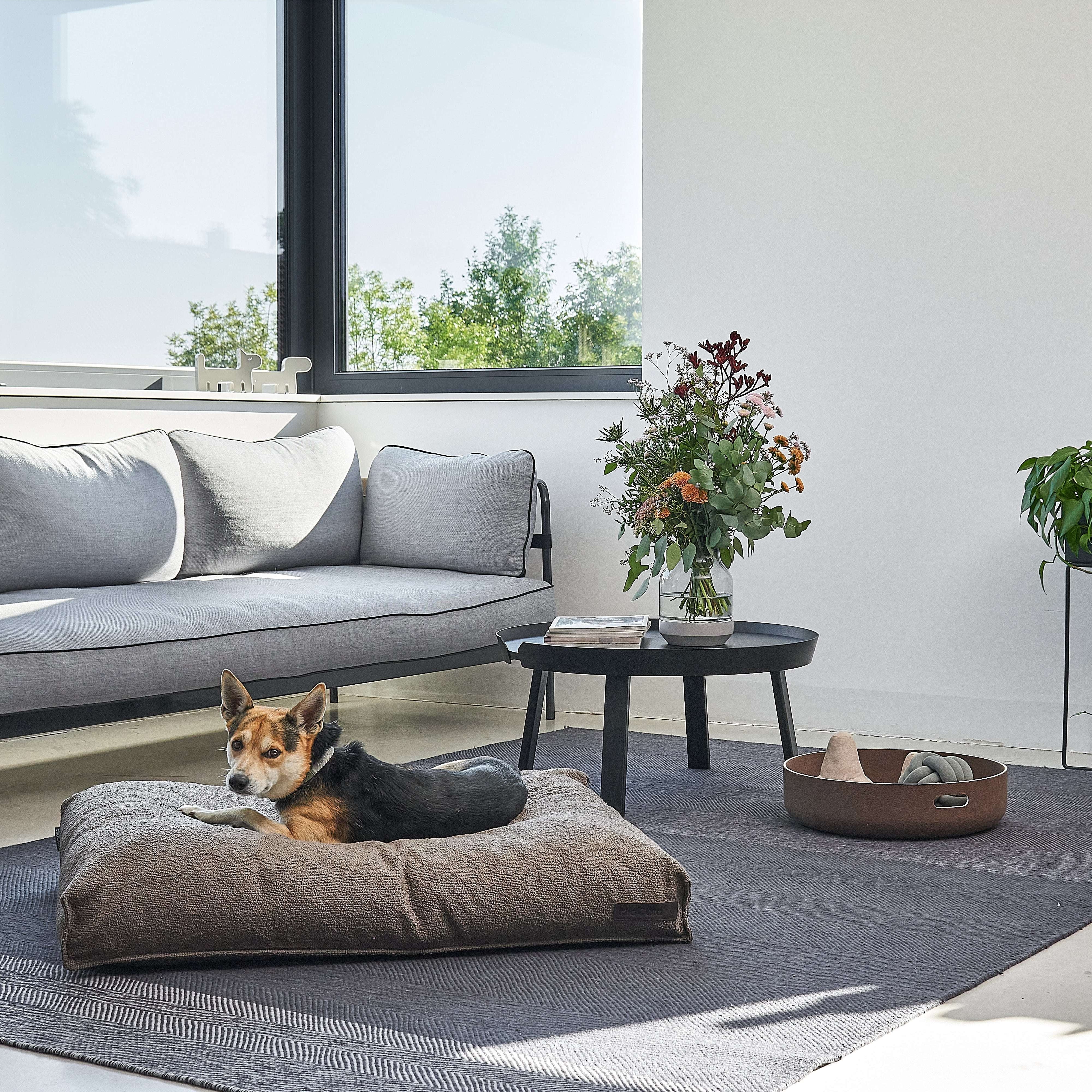 Dog lying on MiaCara Mondo brown cushion in a scandanavian living room, orthopedic support and stylish minimalist bed from Lumi Pets Sleep collection.