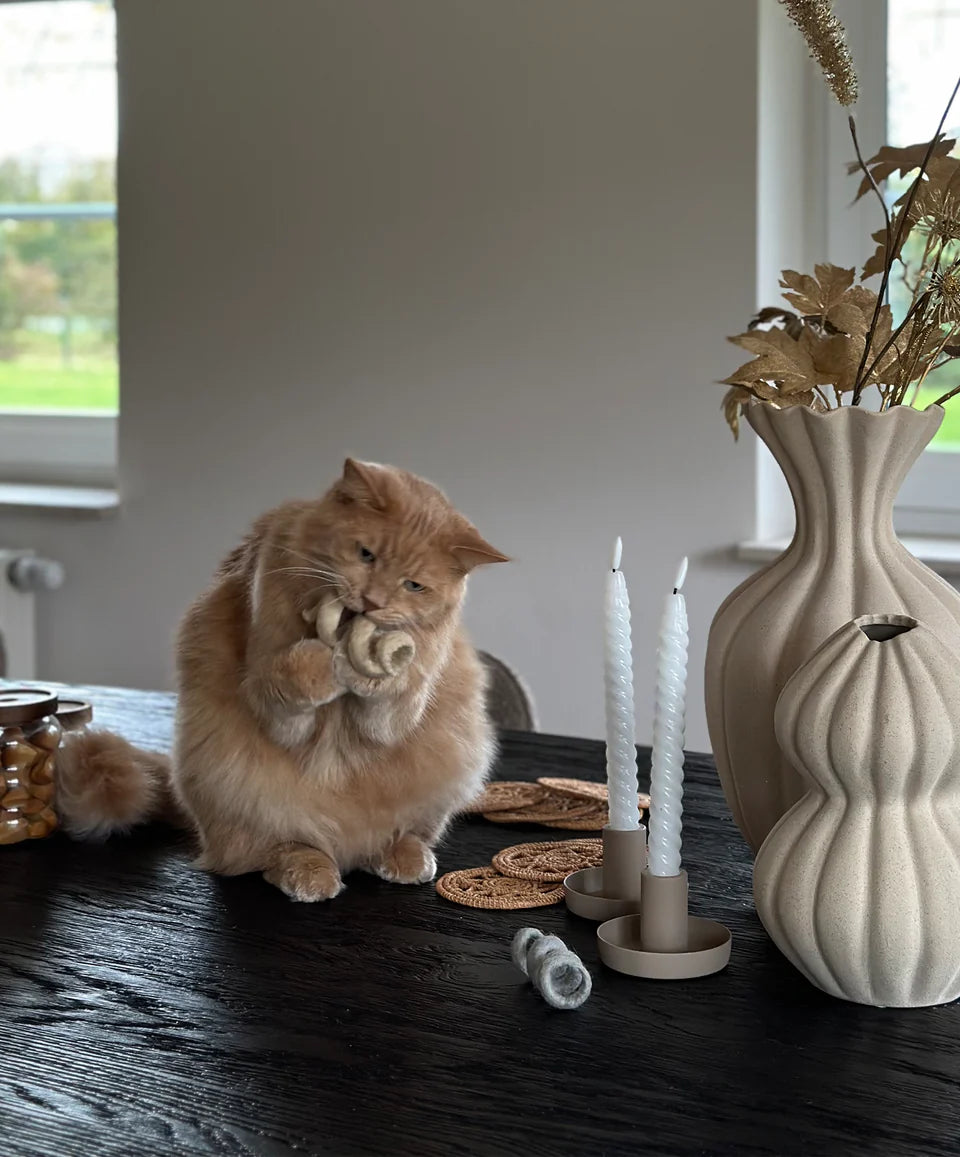 Cat playing with MiaCara Spira wool felt spiral toy, designed for interactive fun and natural stimulation.