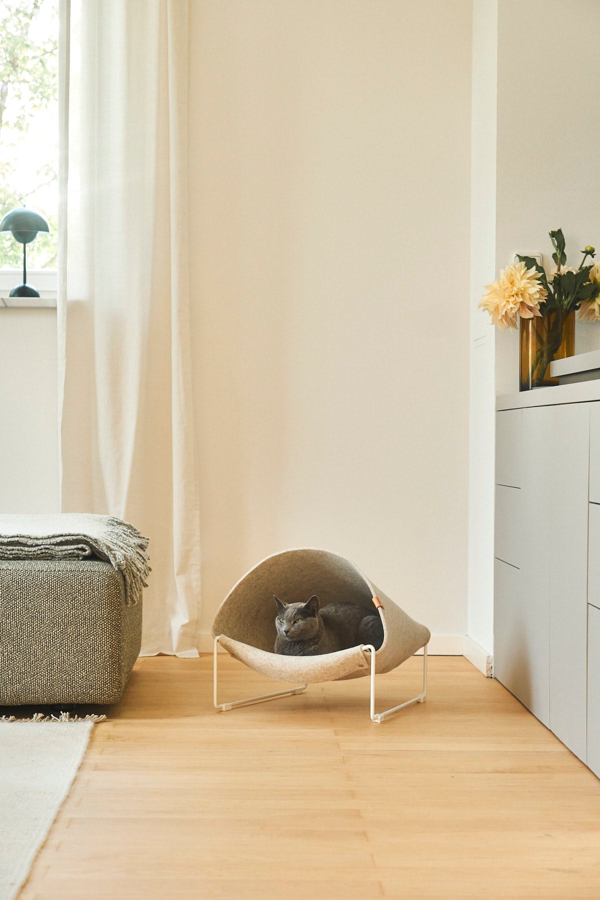 Cat lounging inside MiaCara Loggia felt cat cave, display in a minimalist living room corner, modern raised hideaway with cozy enclosed design.