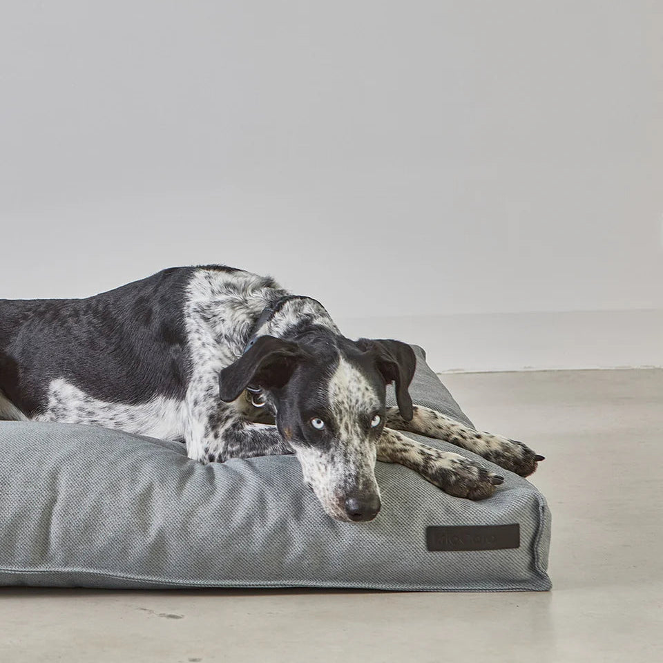 Dog resting on MiaCara Mare grey cushion, comfortable and stylish bed from Lumi Pets Sleep collection