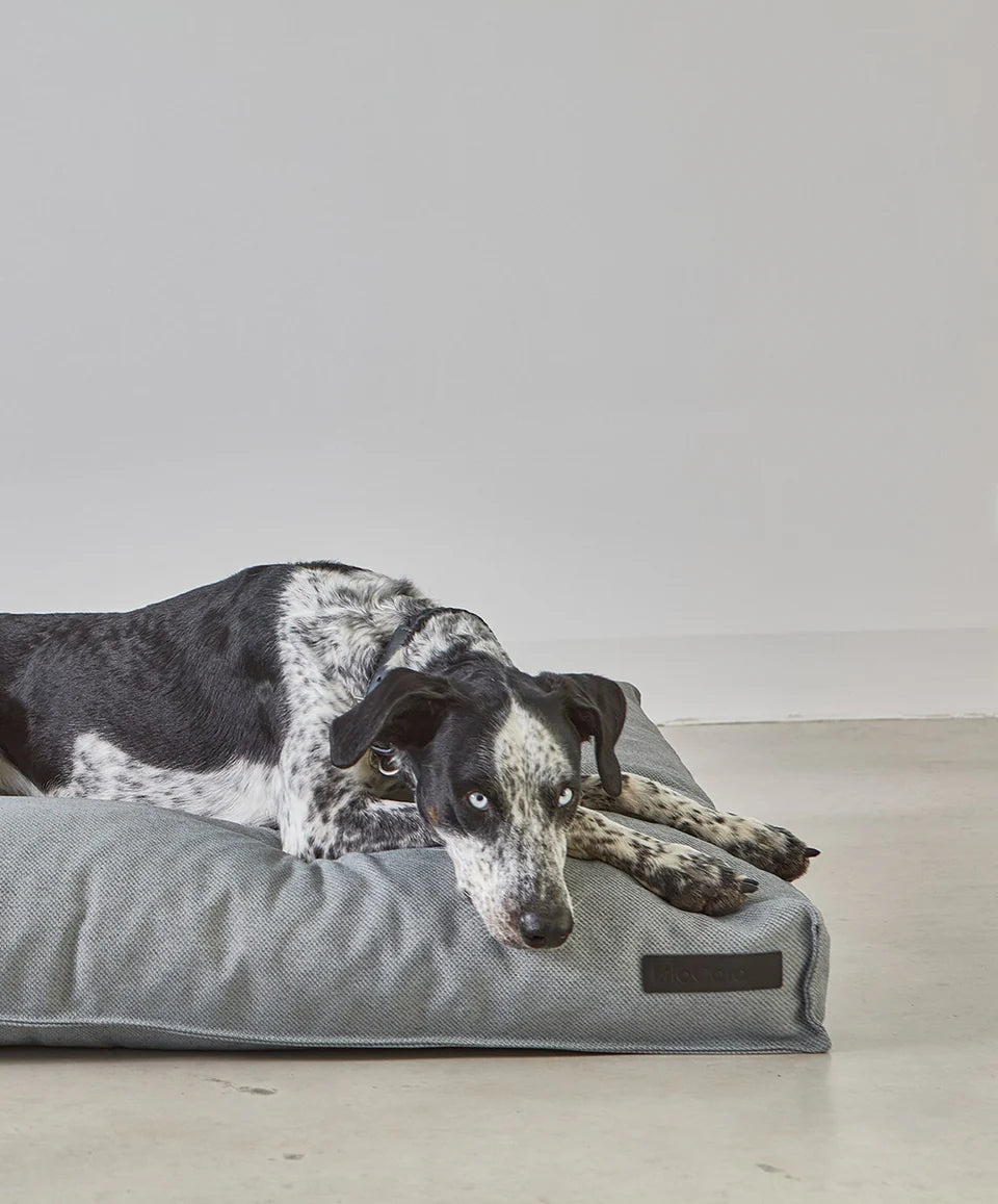 Dog resting on MiaCara Mare grey cushion, comfortable and stylish bed from Lumi Pets Sleep collection