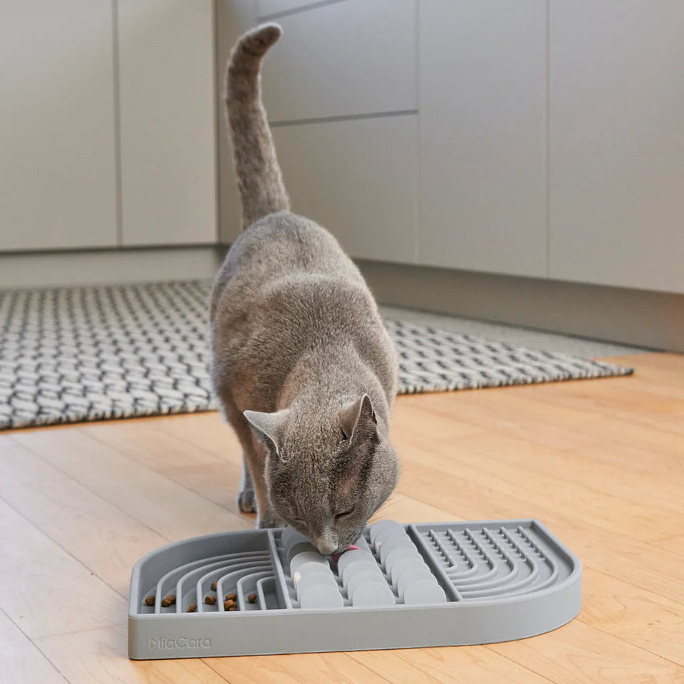Cat using MiaCara Aperitivo interactive slow feeder in grey, designed to promote healthy, engaging feeding habits.